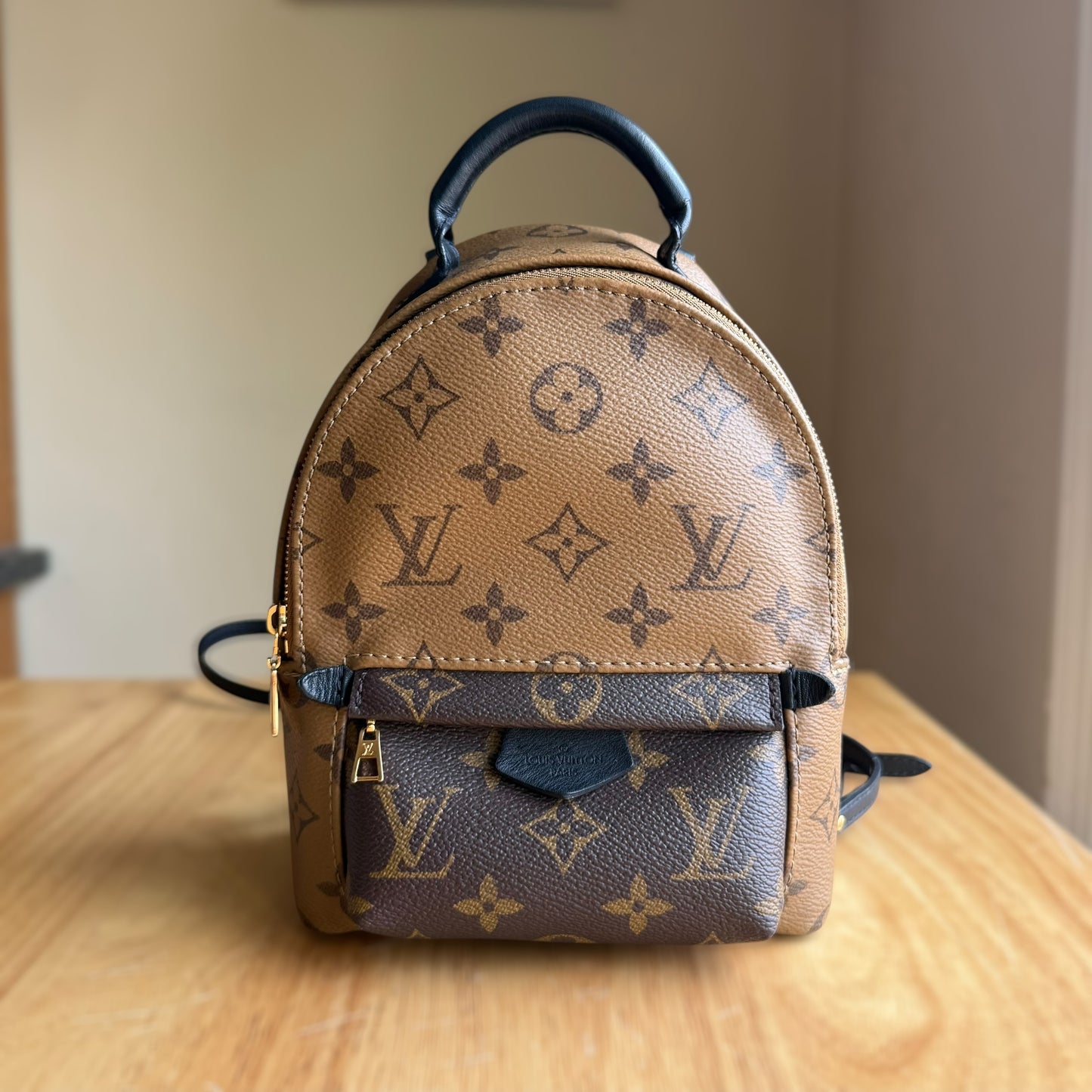 Reverse Monogram Palm Springs Mini