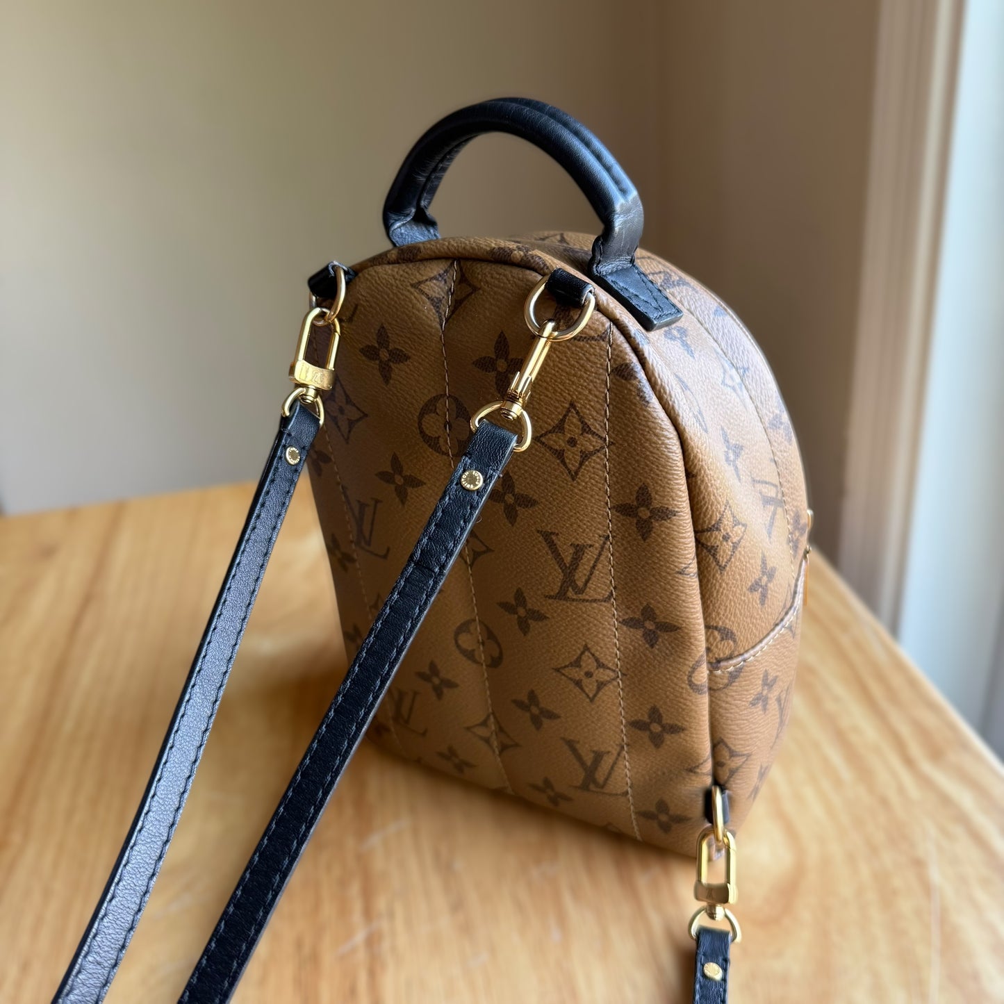 Reverse Monogram Palm Springs Mini
