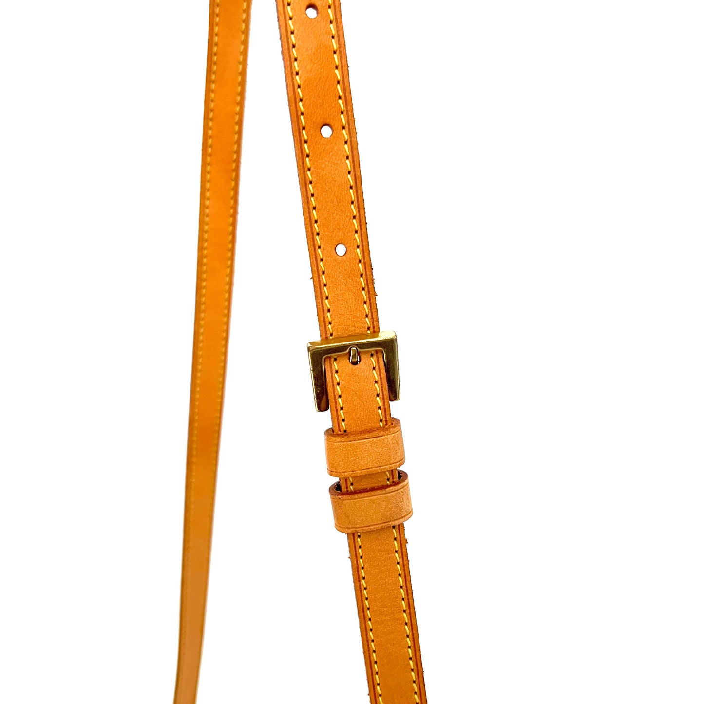 Monogram Trotteur Crossbody