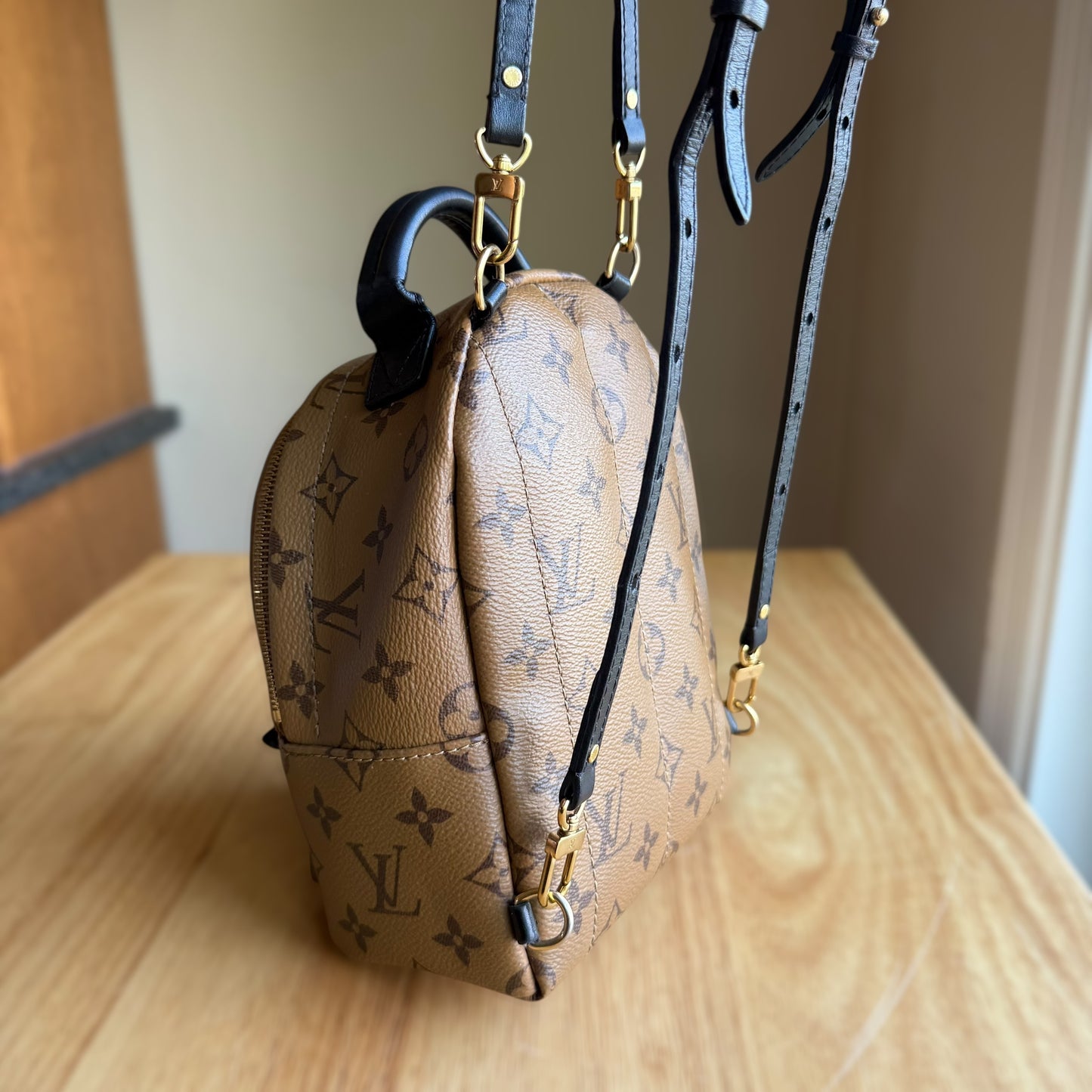 Reverse Monogram Palm Springs Mini