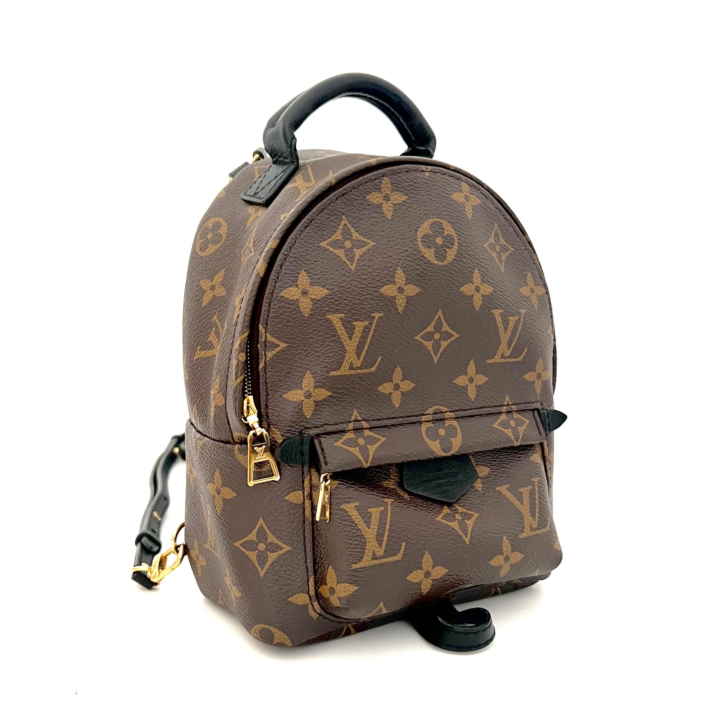 Monogram Palm Springs Mini