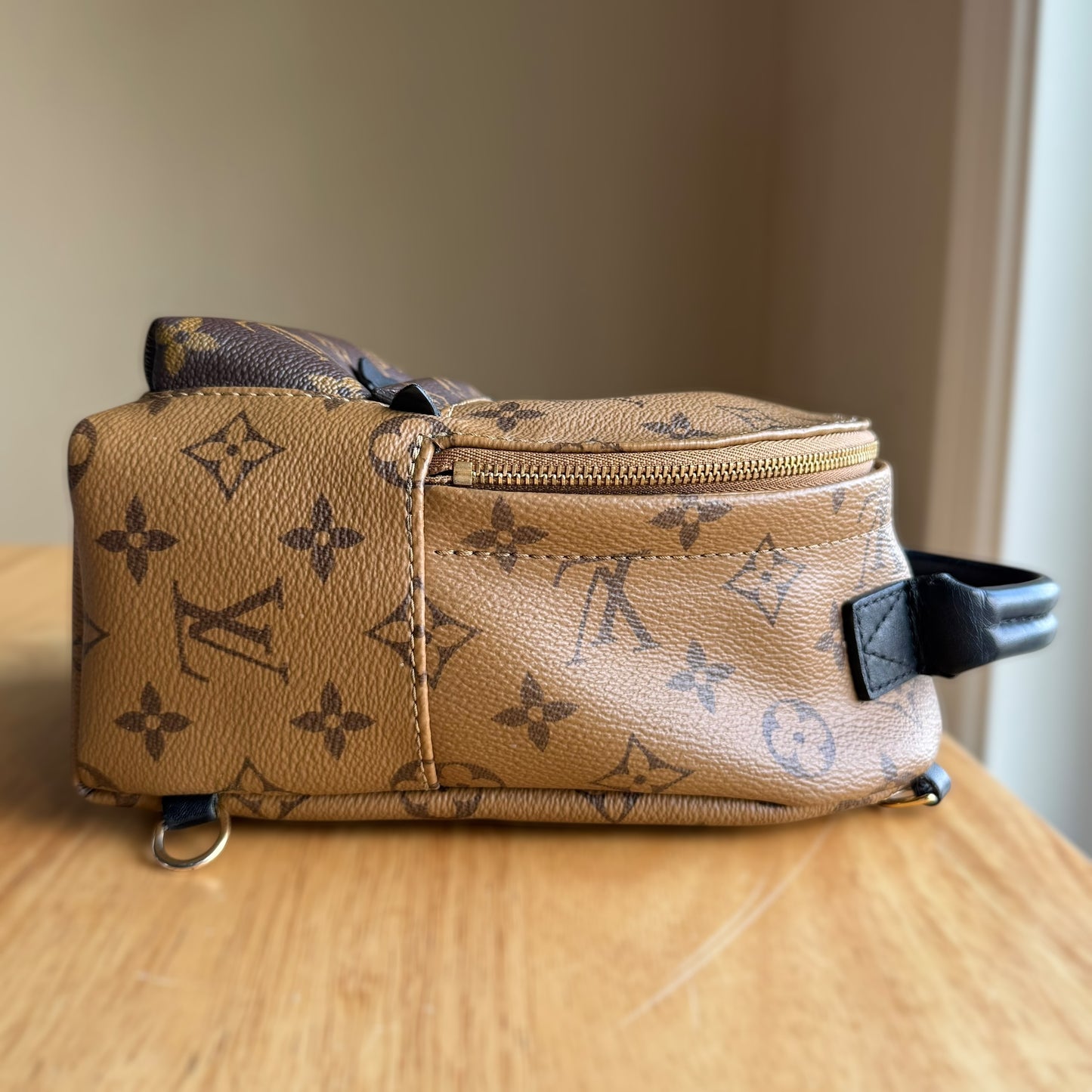 Reverse Monogram Palm Springs Mini