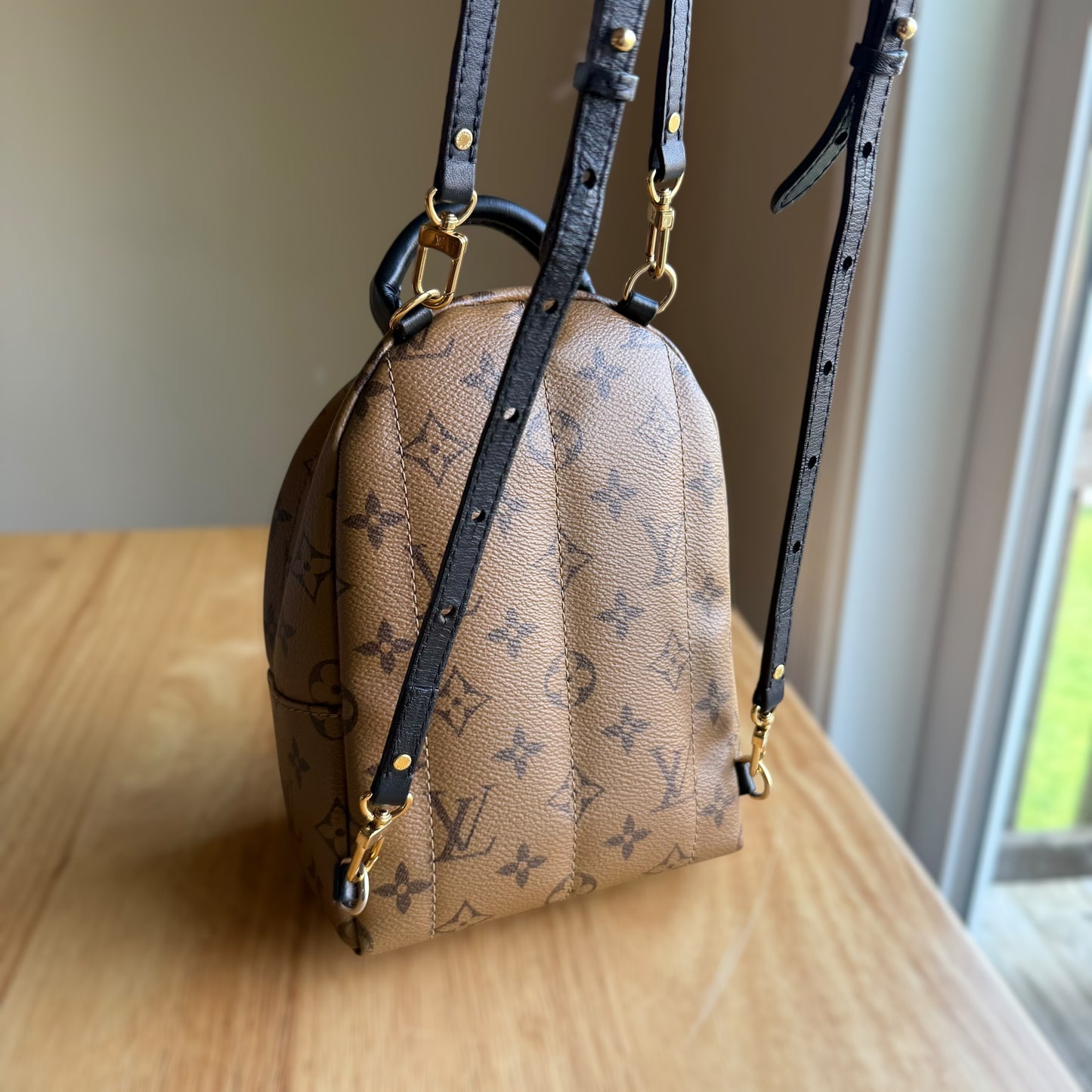 Reverse Monogram Palm Springs Mini