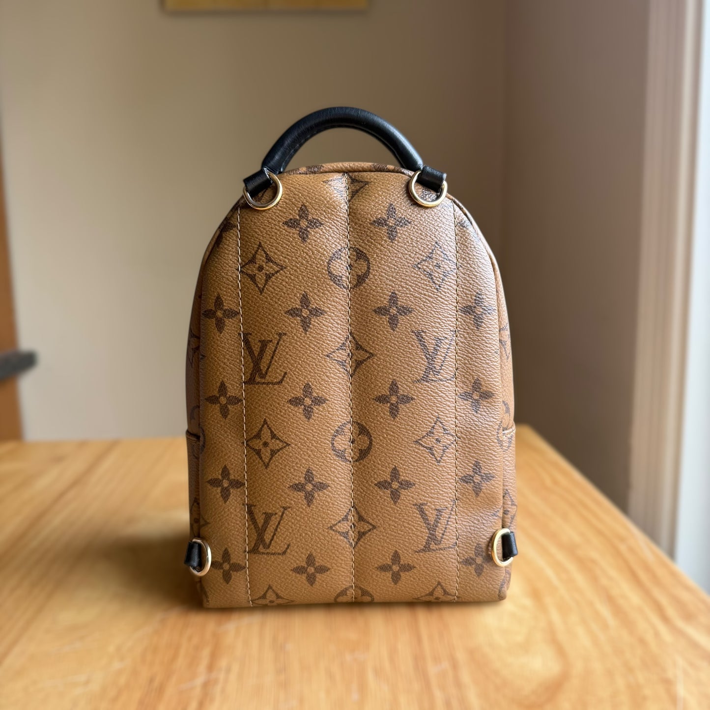 Reverse Monogram Palm Springs Mini