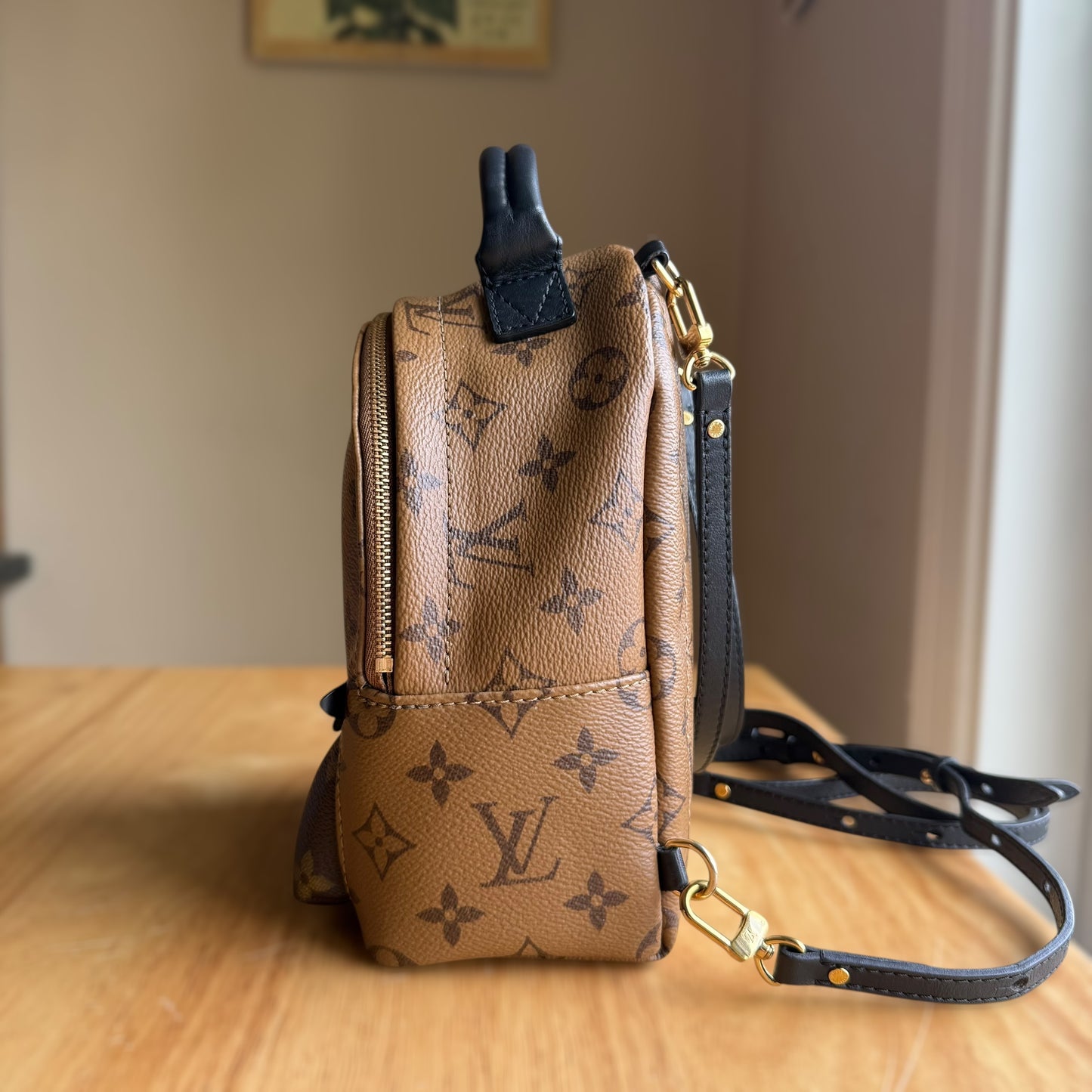 Reverse Monogram Palm Springs Mini