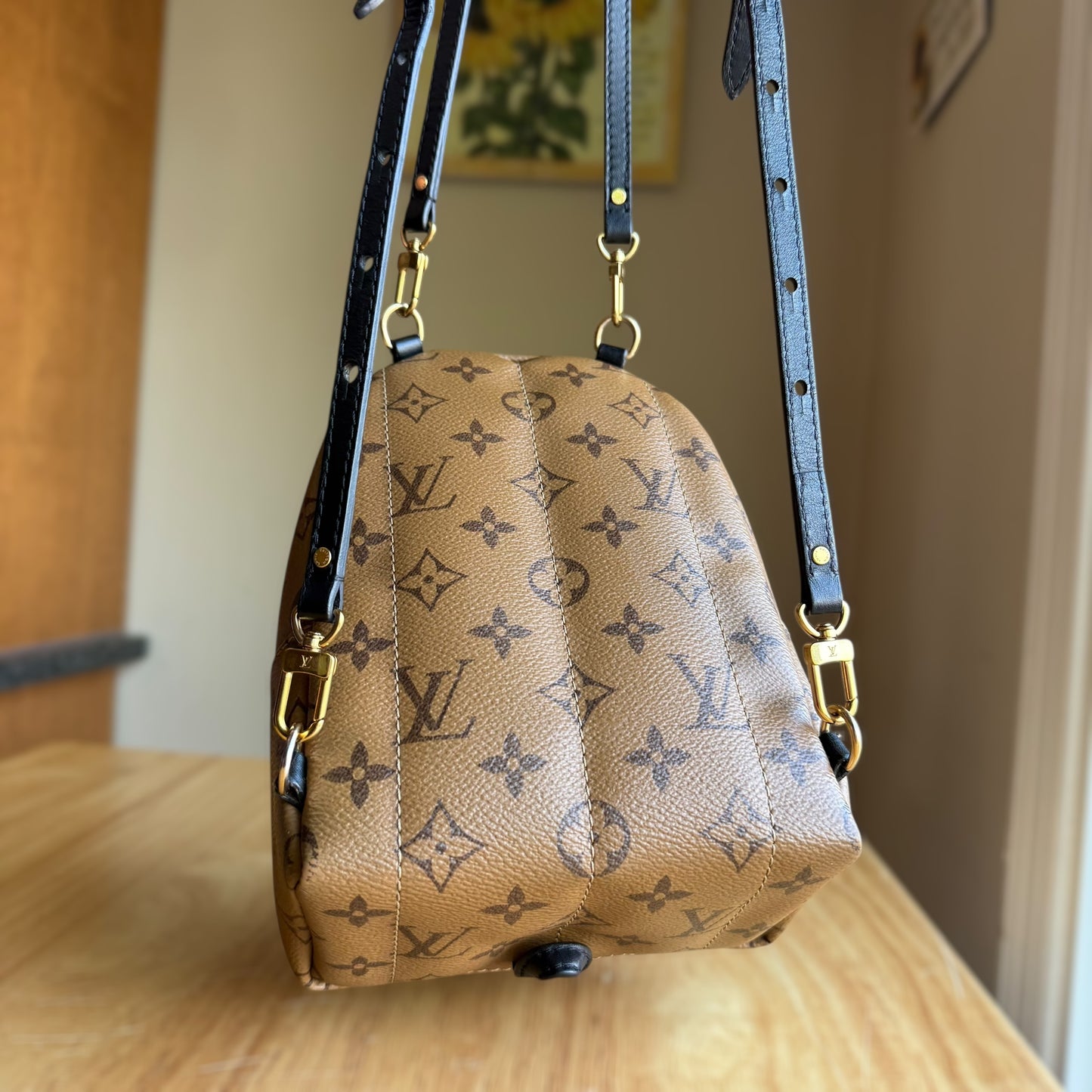 Reverse Monogram Palm Springs Mini