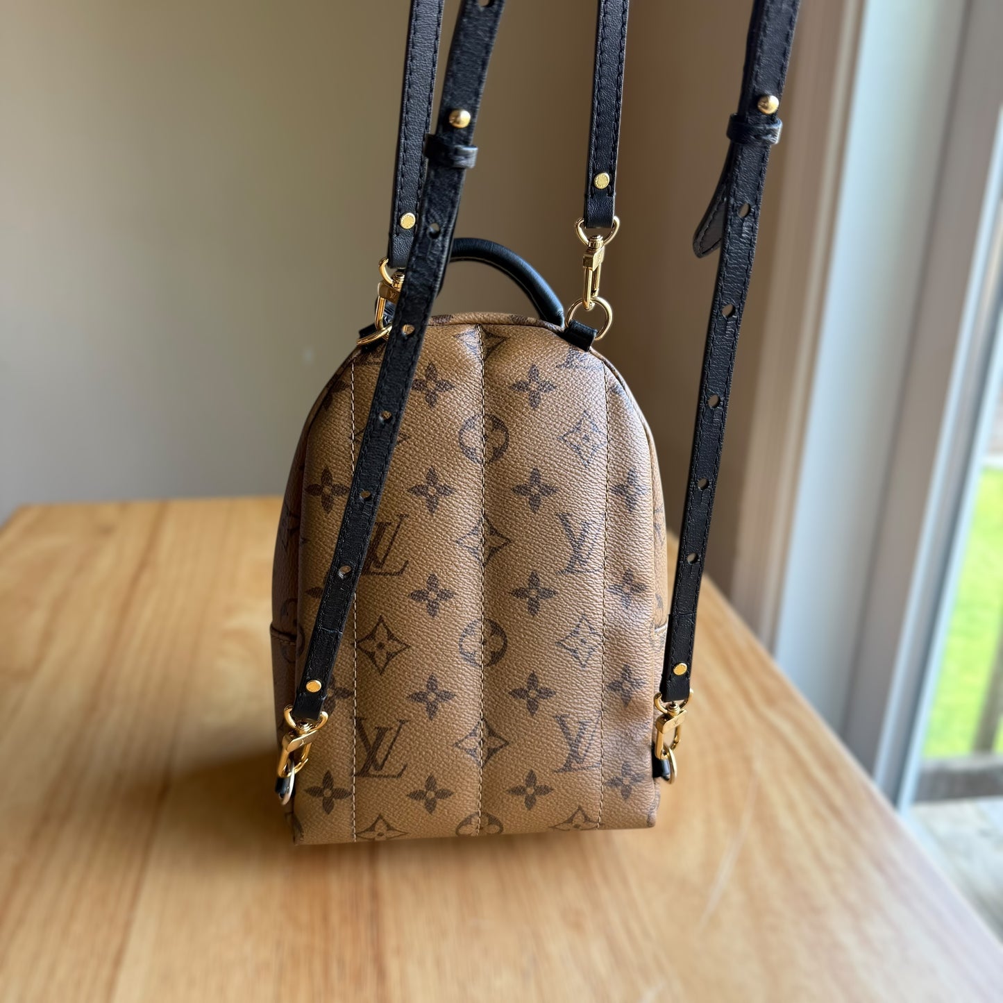 Reverse Monogram Palm Springs Mini