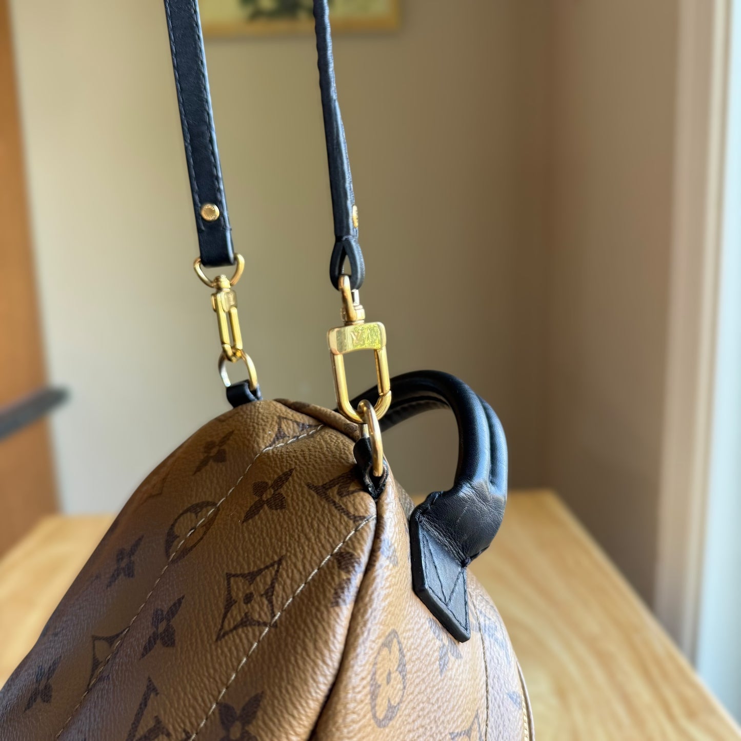 Reverse Monogram Palm Springs Mini