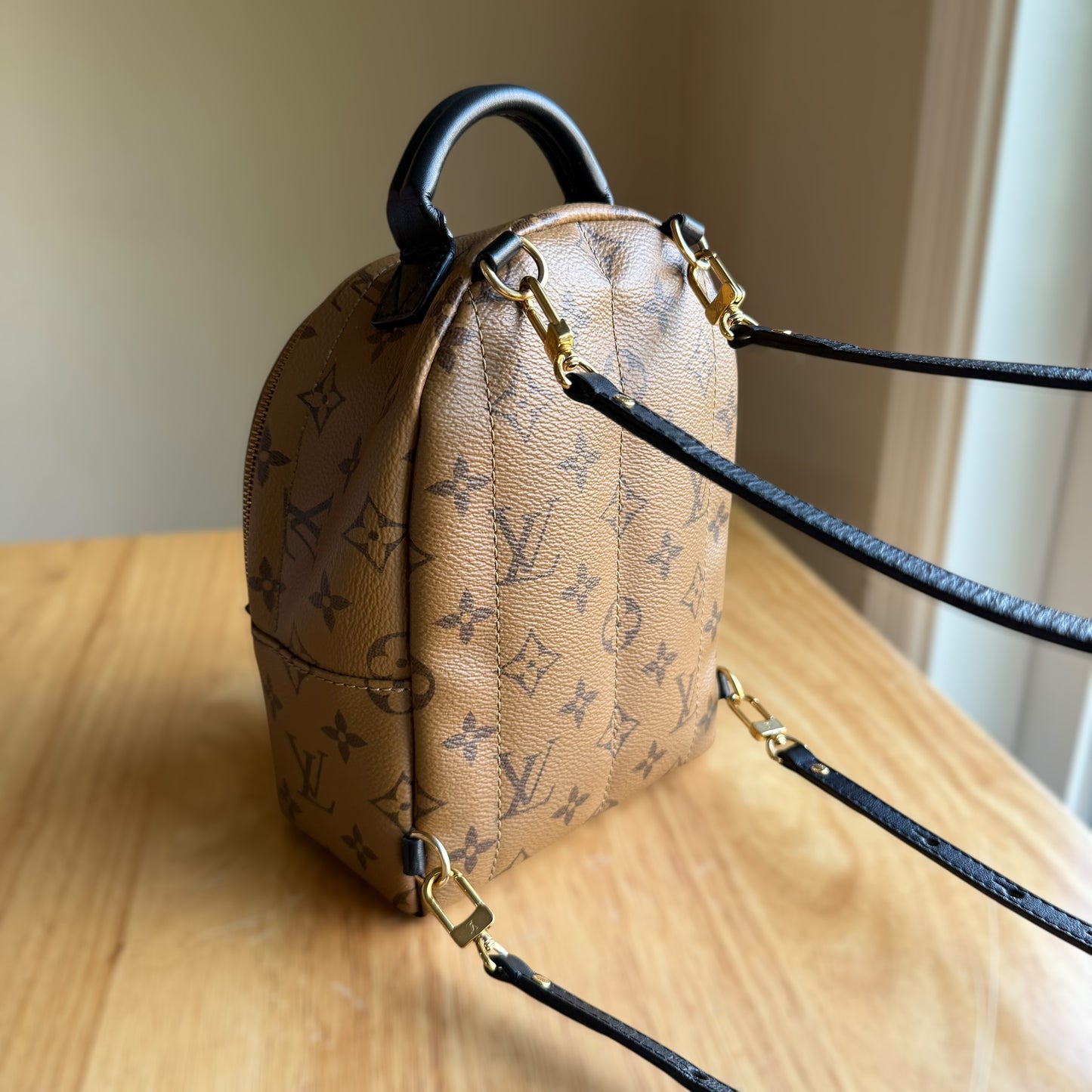 Reverse Monogram Palm Springs Mini