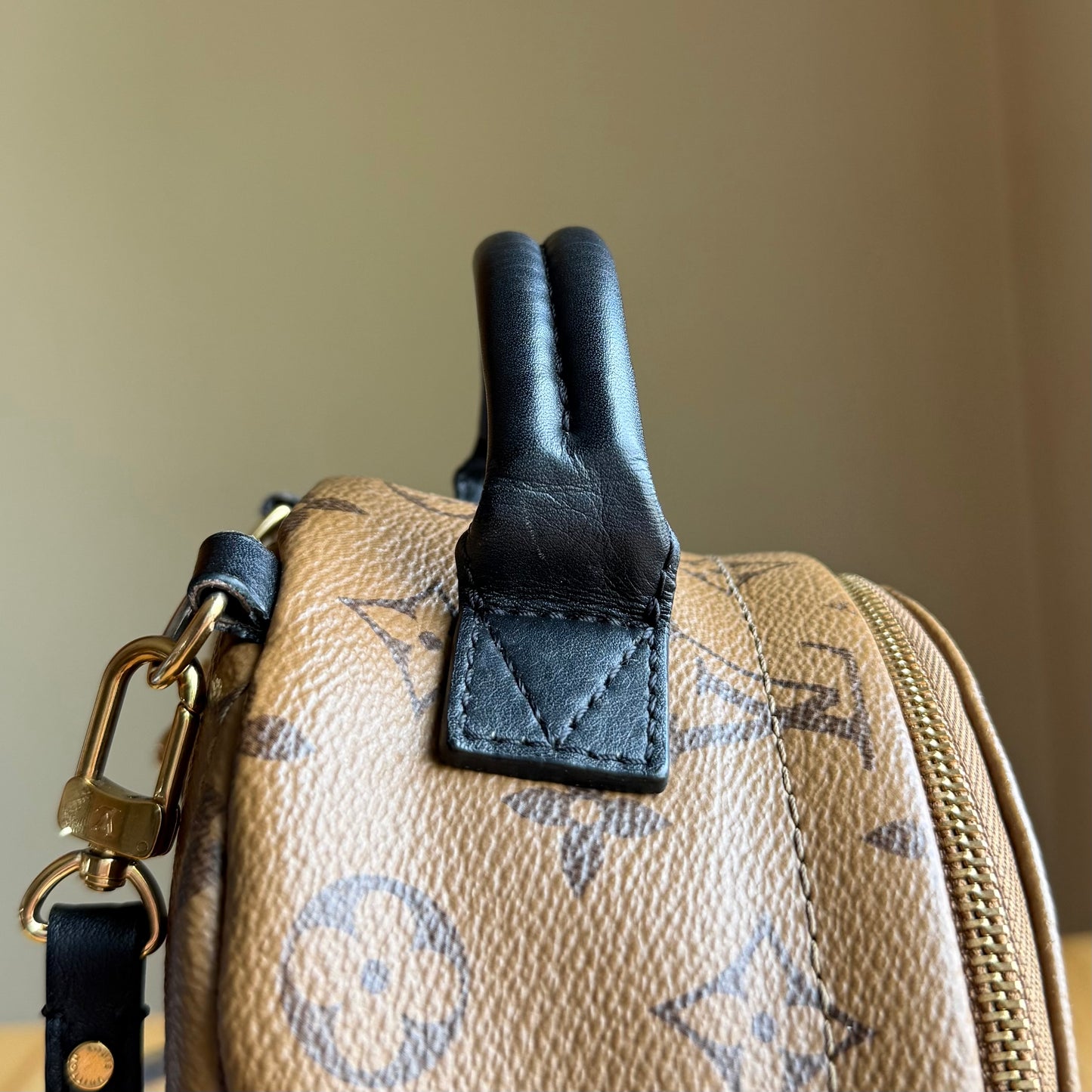 Reverse Monogram Palm Springs Mini