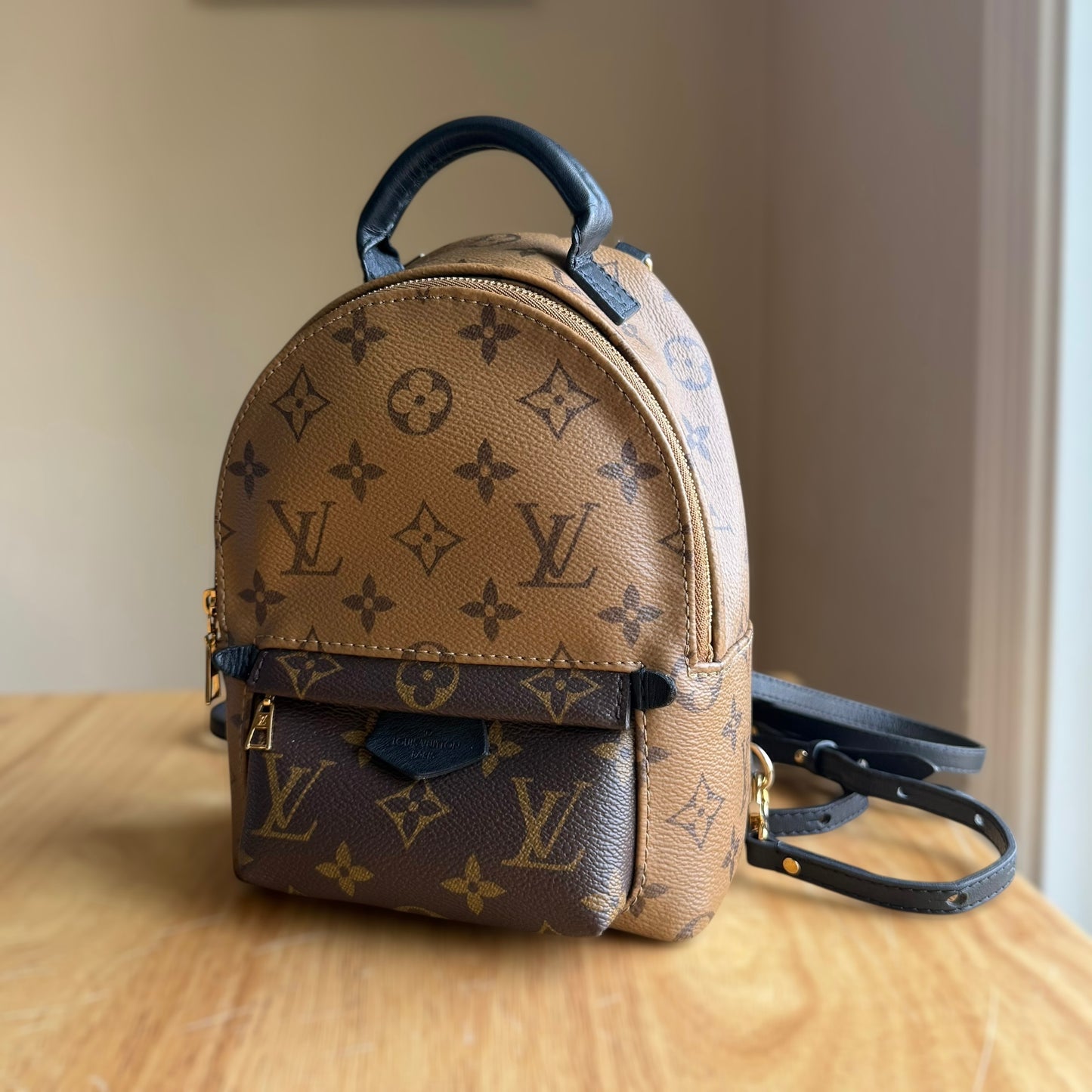 Reverse Monogram Palm Springs Mini