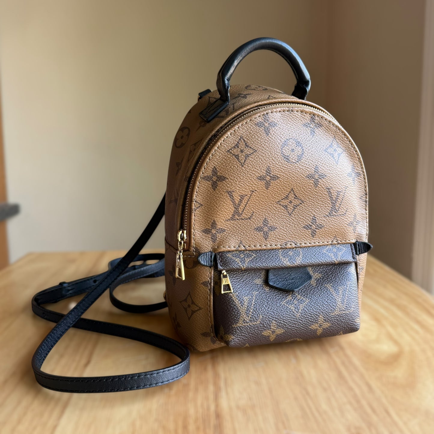 Reverse Monogram Palm Springs Mini