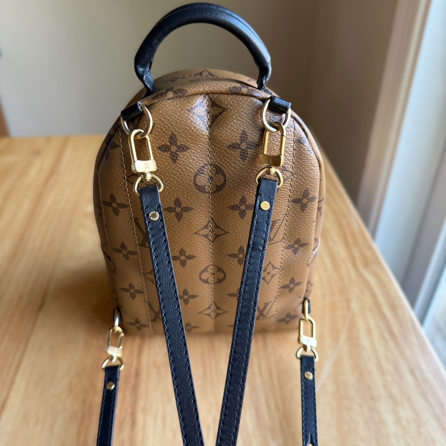 Reverse Monogram Palm Springs Mini