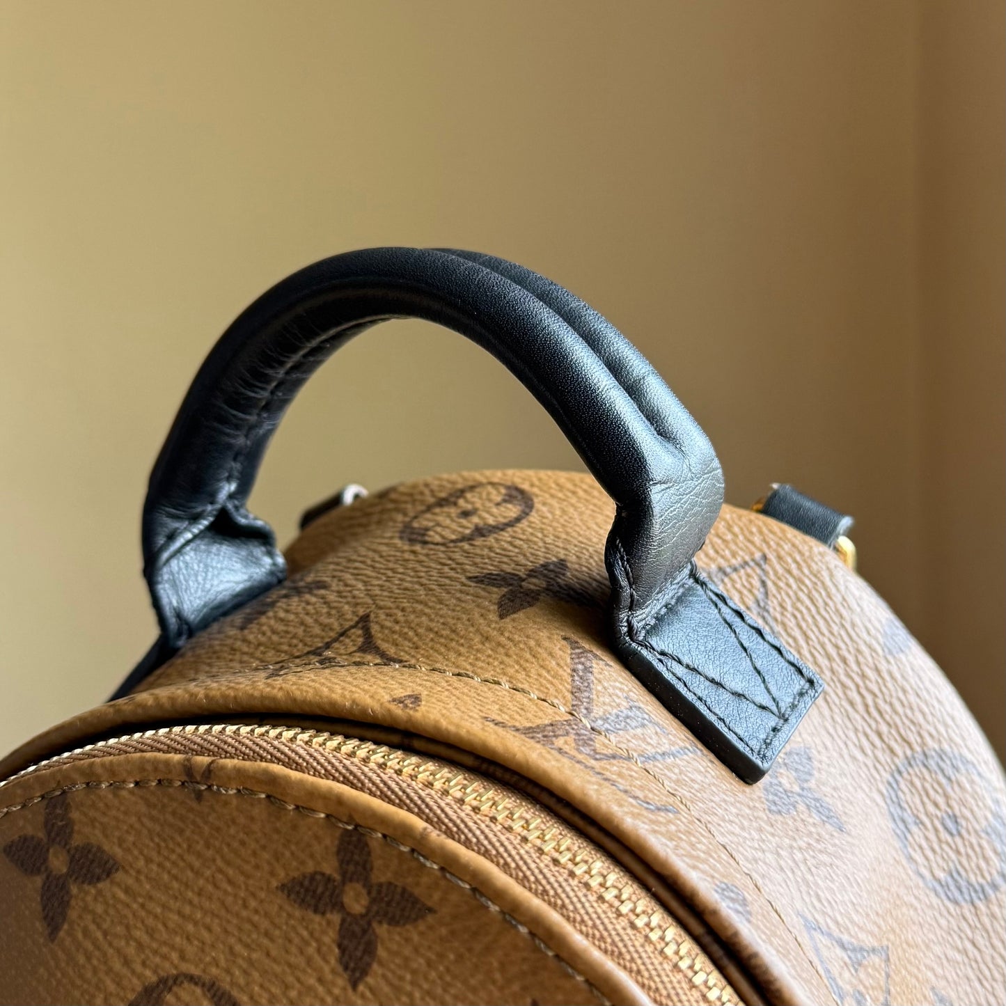 Reverse Monogram Palm Springs Mini