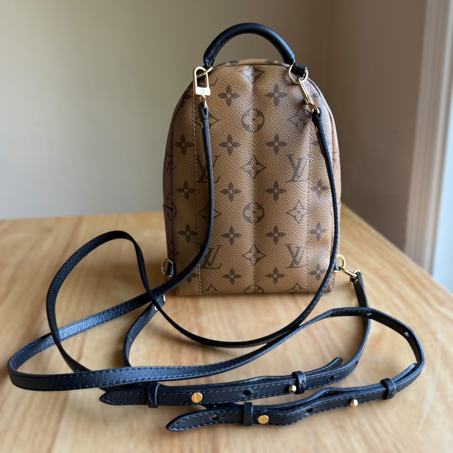 Reverse Monogram Palm Springs Mini
