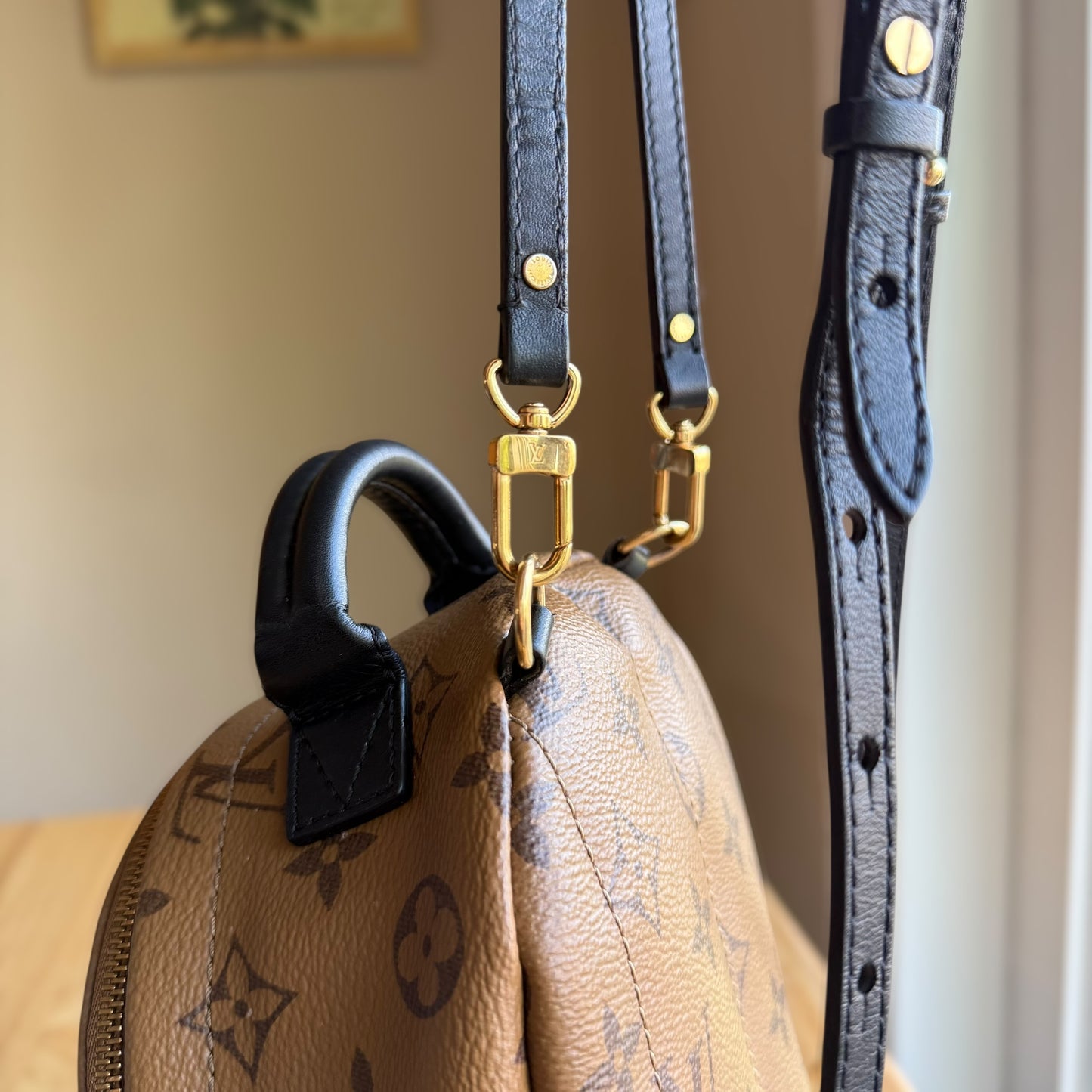 Reverse Monogram Palm Springs Mini