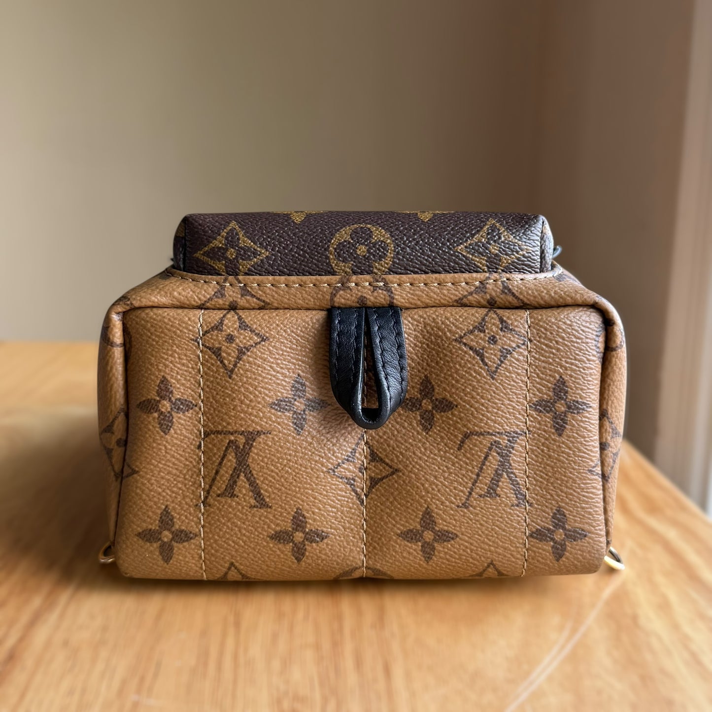 Reverse Monogram Palm Springs Mini