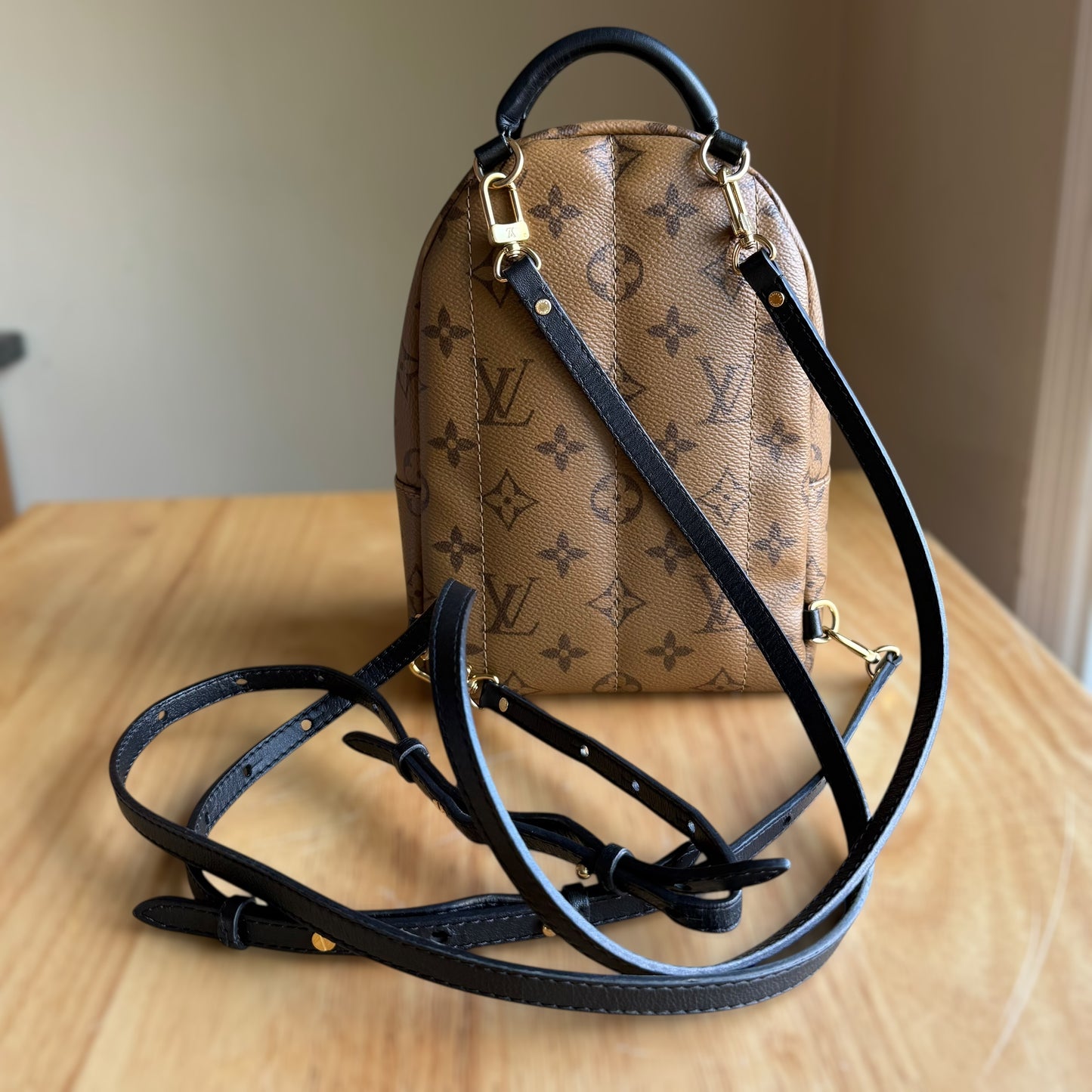Reverse Monogram Palm Springs Mini