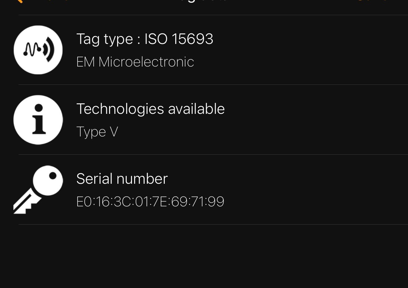 Monogram Cabas Mezzo (New Version)