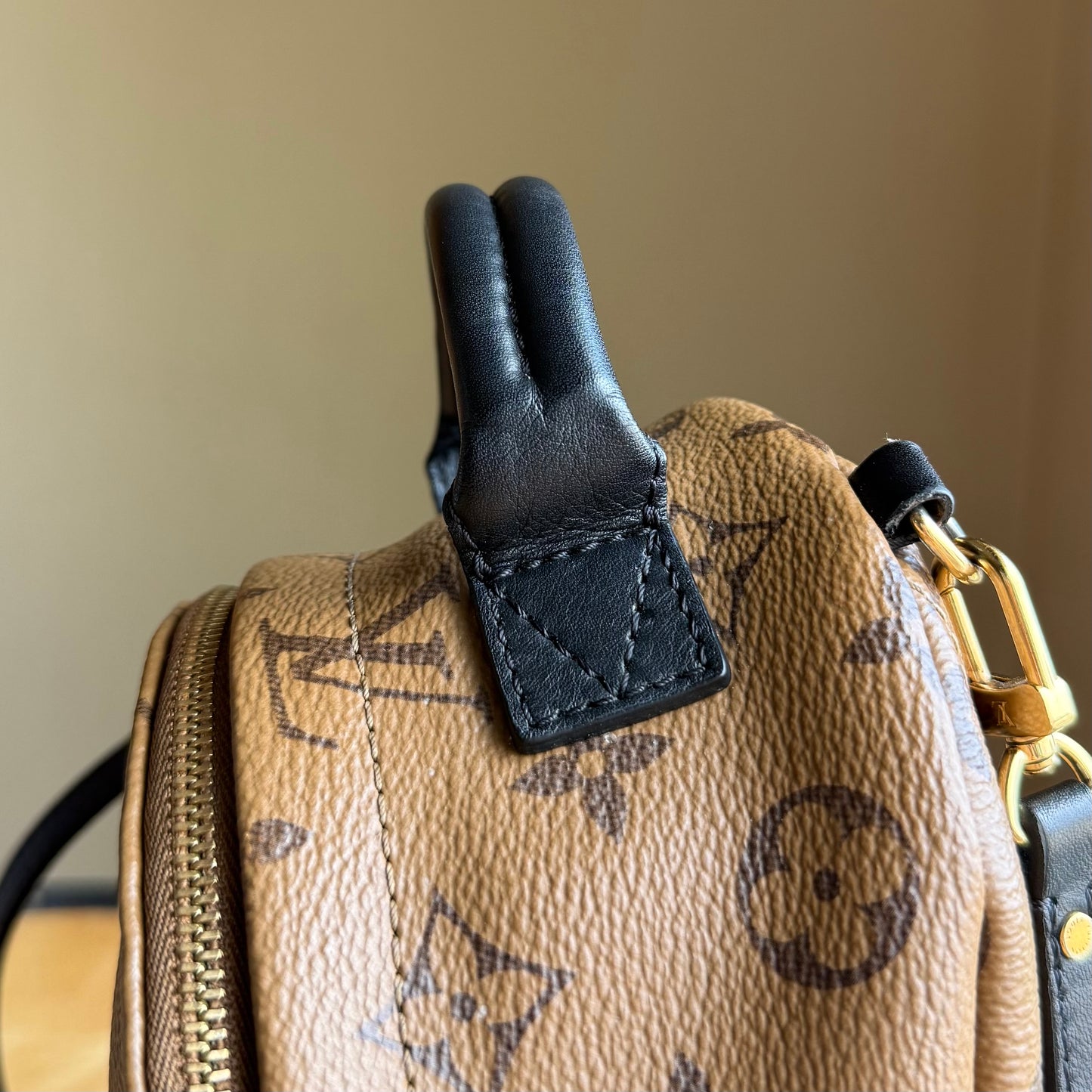 Reverse Monogram Palm Springs Mini