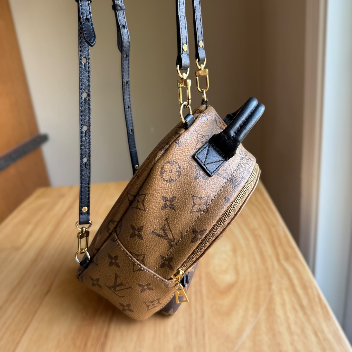 Reverse Monogram Palm Springs Mini