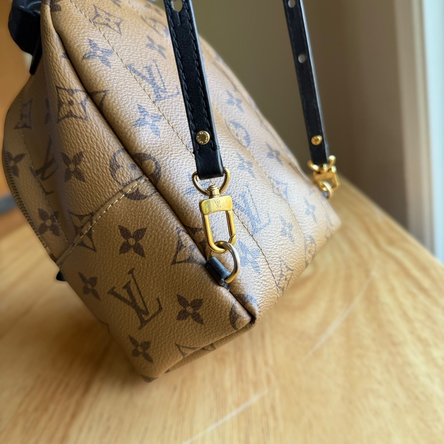 Reverse Monogram Palm Springs Mini