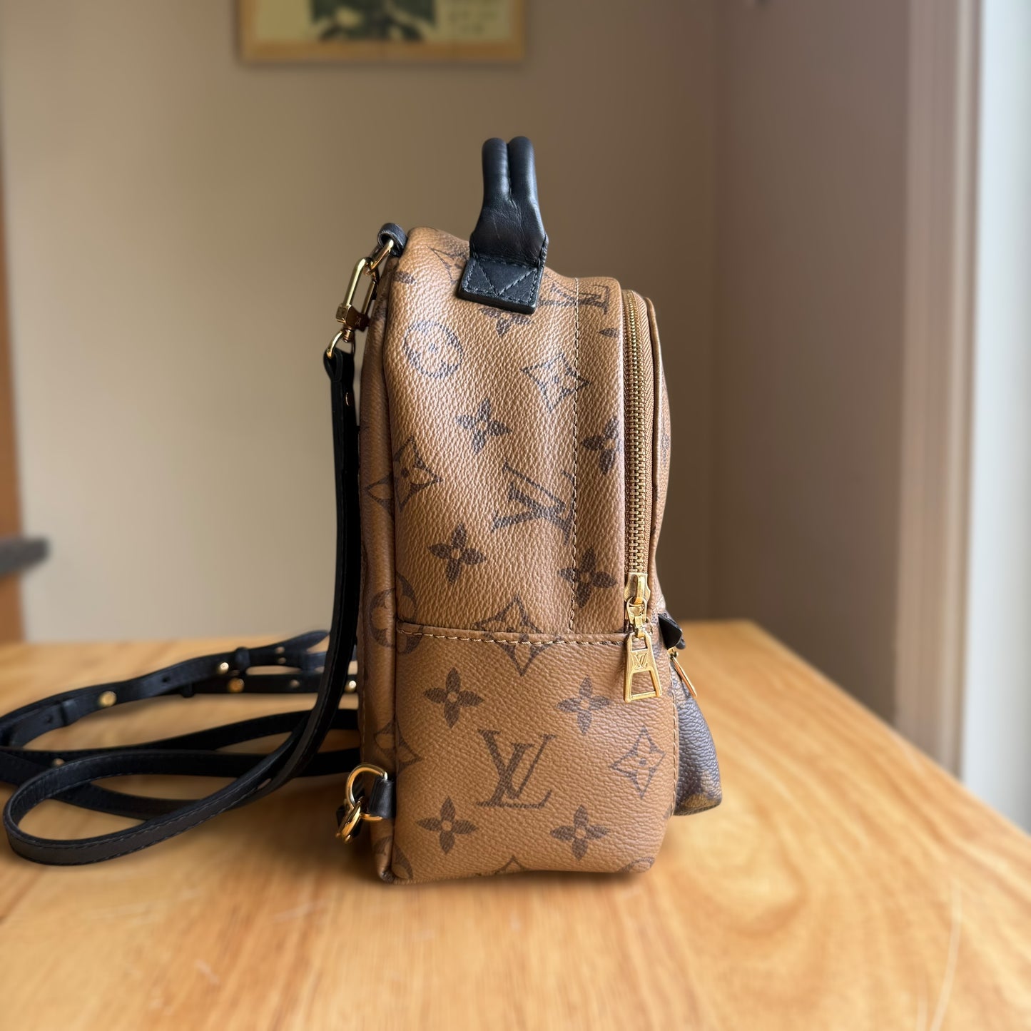 Reverse Monogram Palm Springs Mini