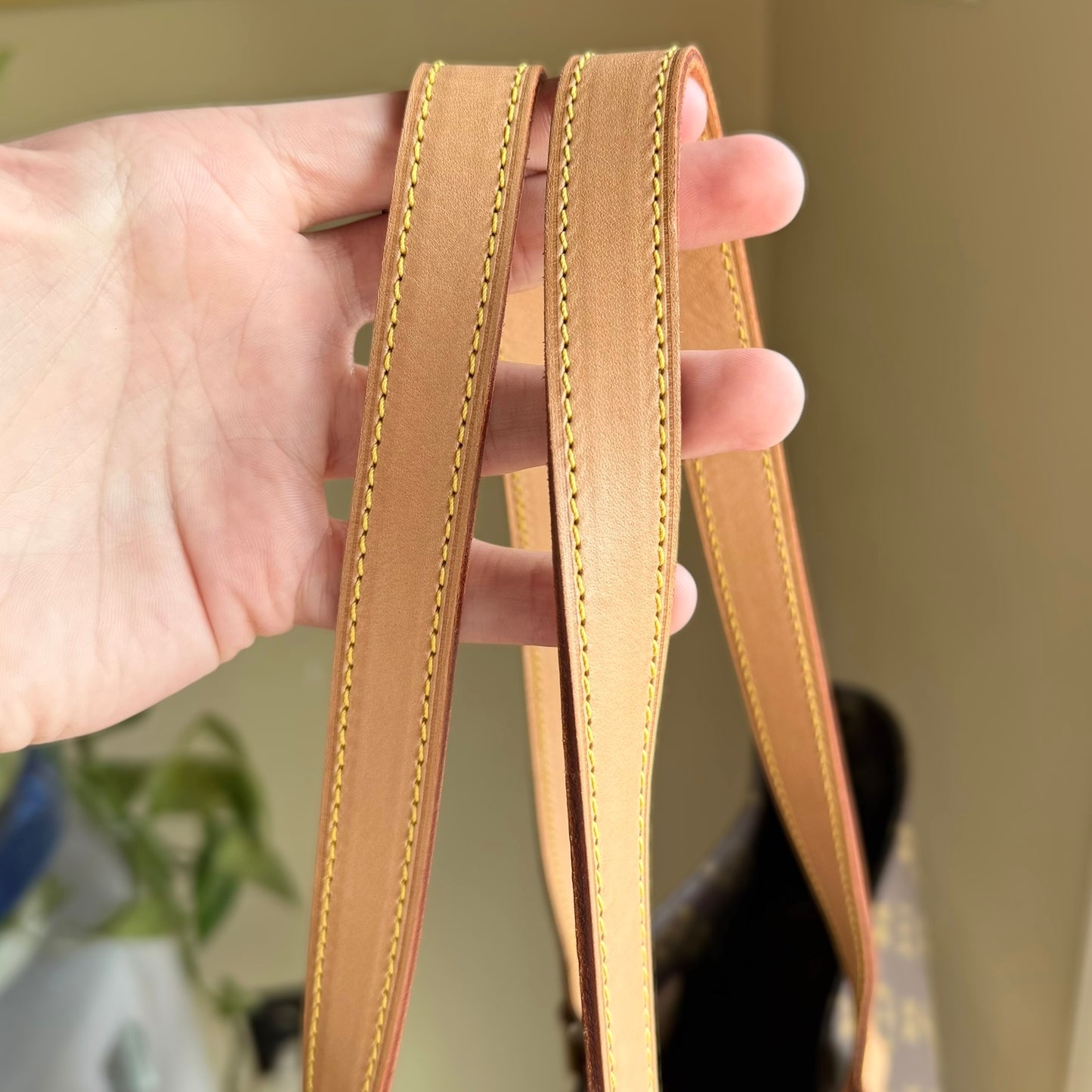 Monogram Cabas Alto