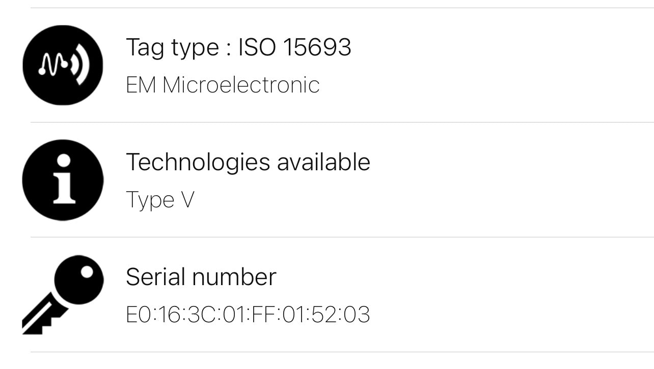 Damier Ebene Neverfull MM Set