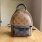 Reverse Monogram Palm Springs Mini