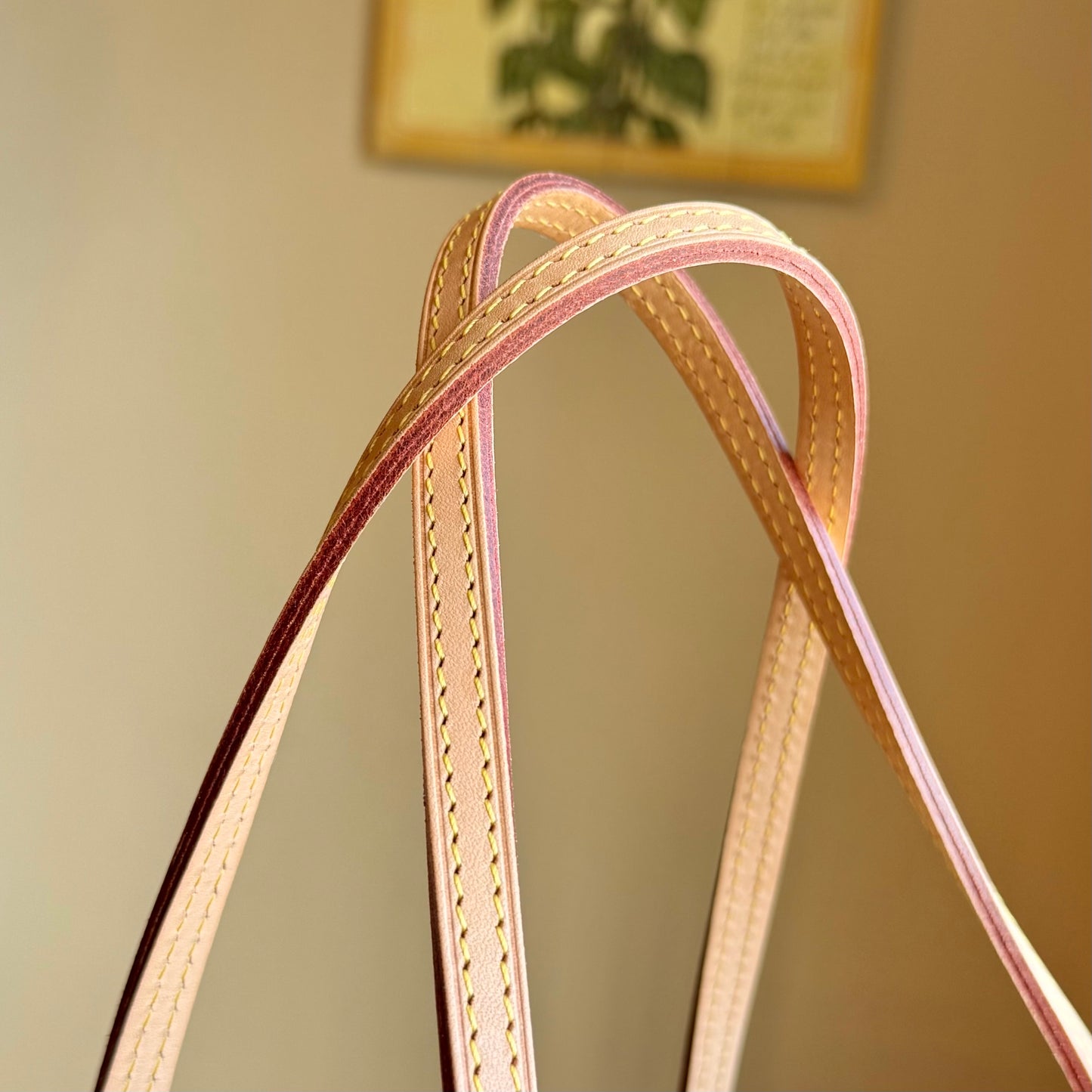Monogram Neverfull PM