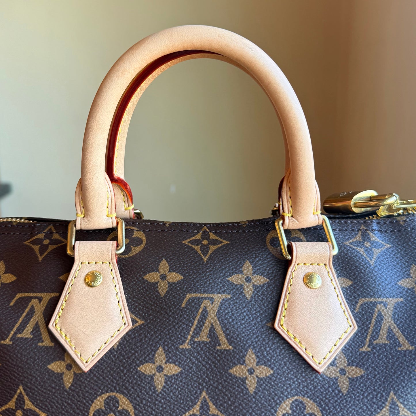 Monogram Speedy 25 Bandouliere