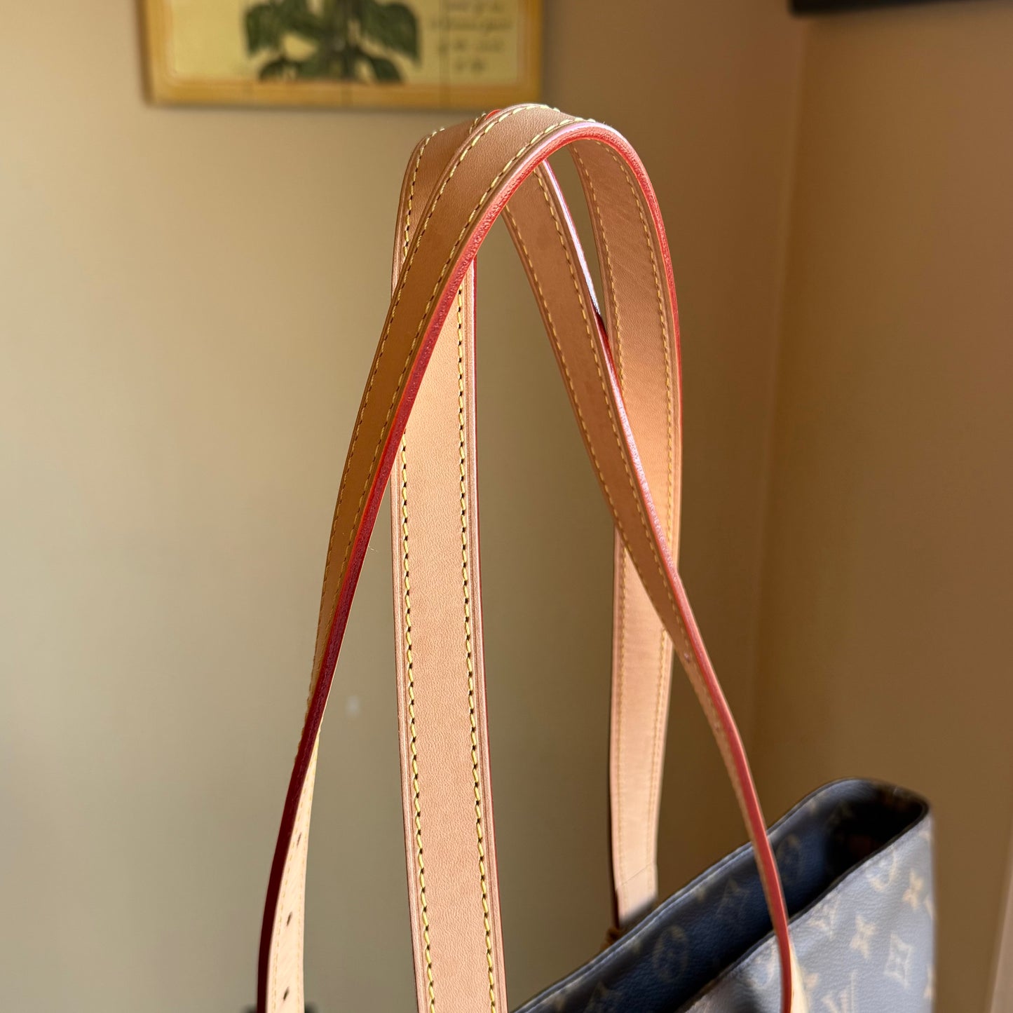 Monogram Cabas Mezzo (New Version)