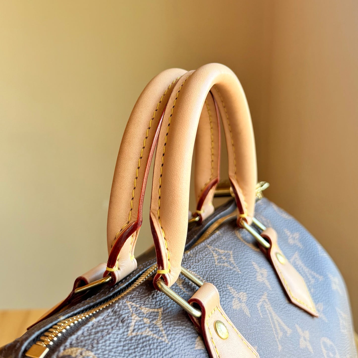 Monogram Speedy 25 Bandouliere