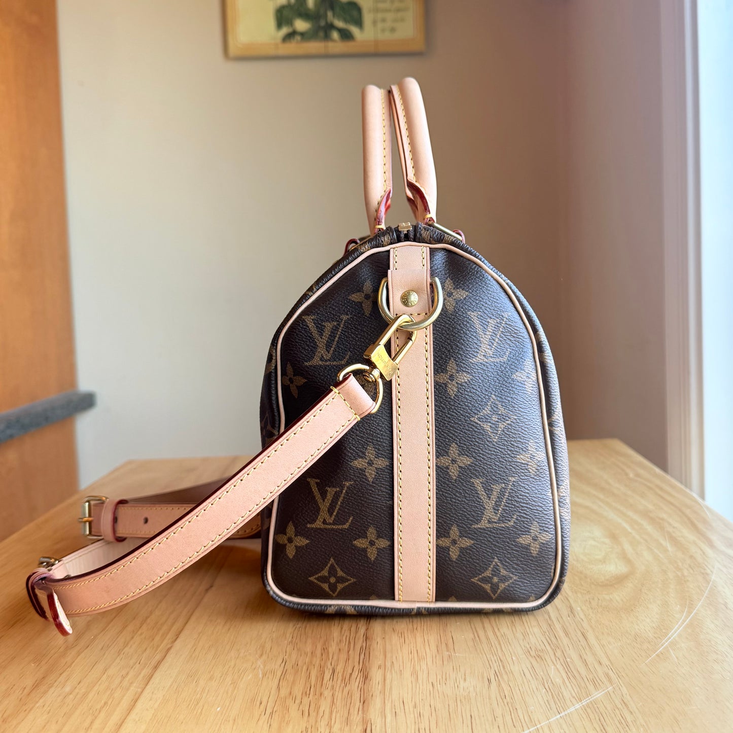 Monogram Speedy 25 Bandouliere