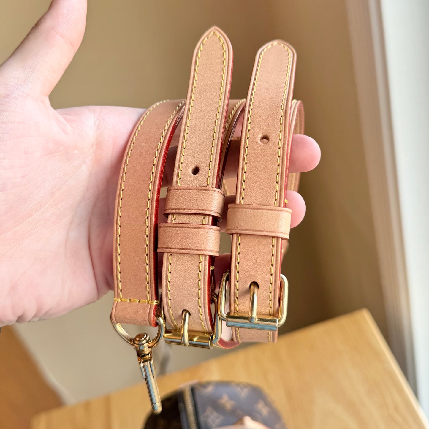 Monogram Speedy 25 Bandouliere