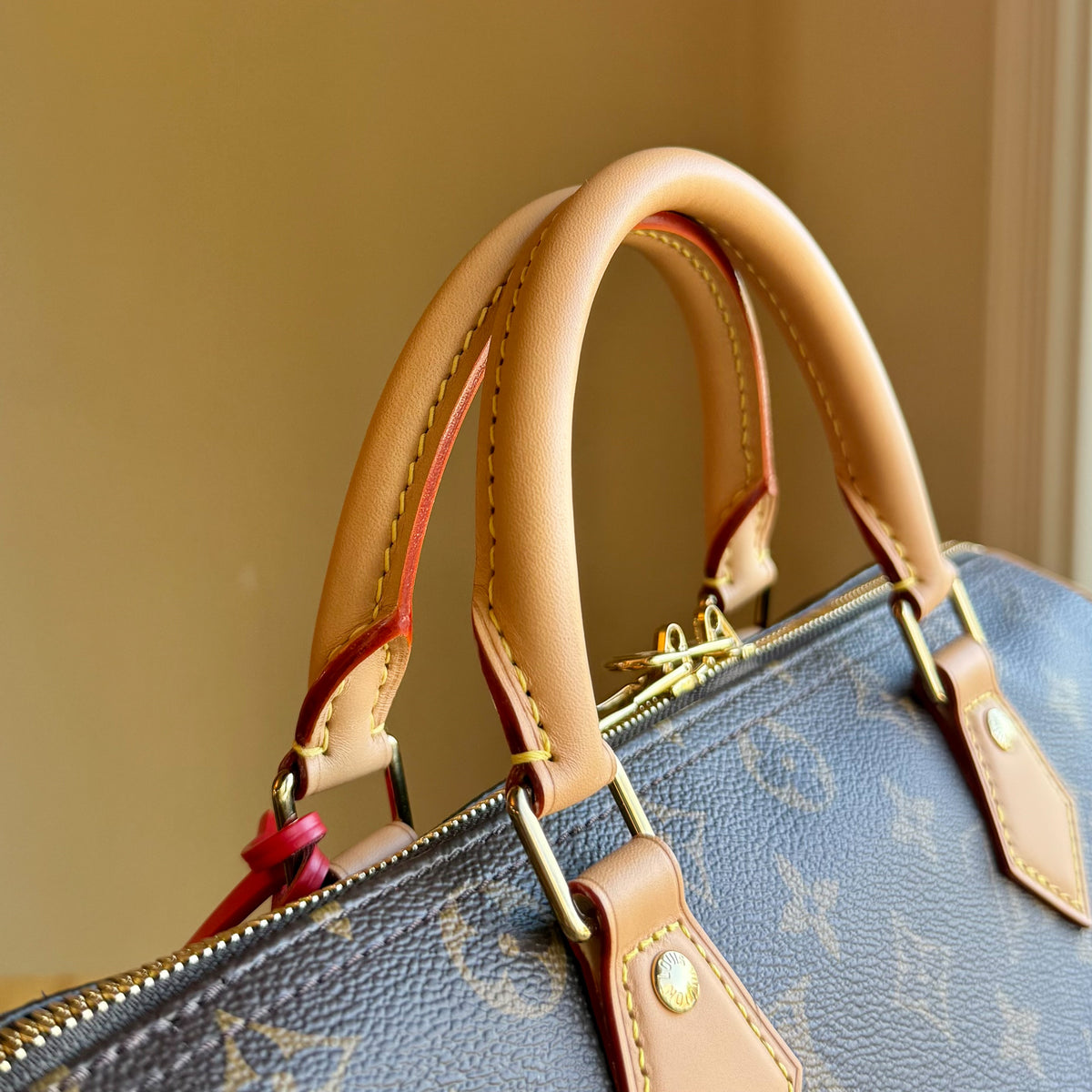 Monogram Speedy Soft 30 Crafty