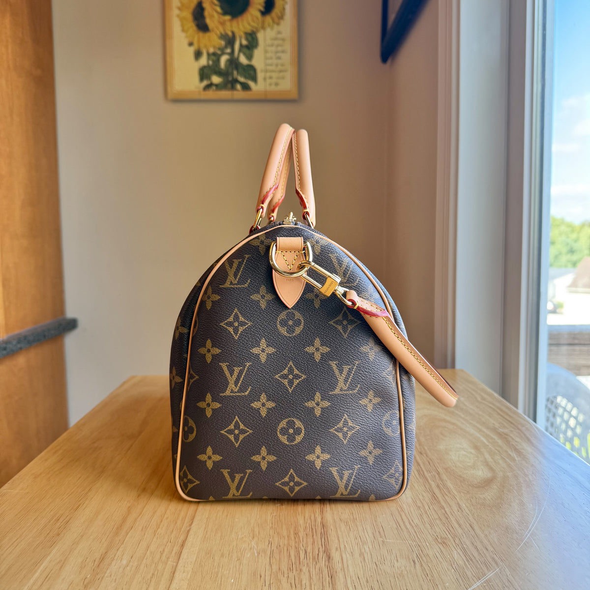 Monogram Speedy Soft 30 Crafty