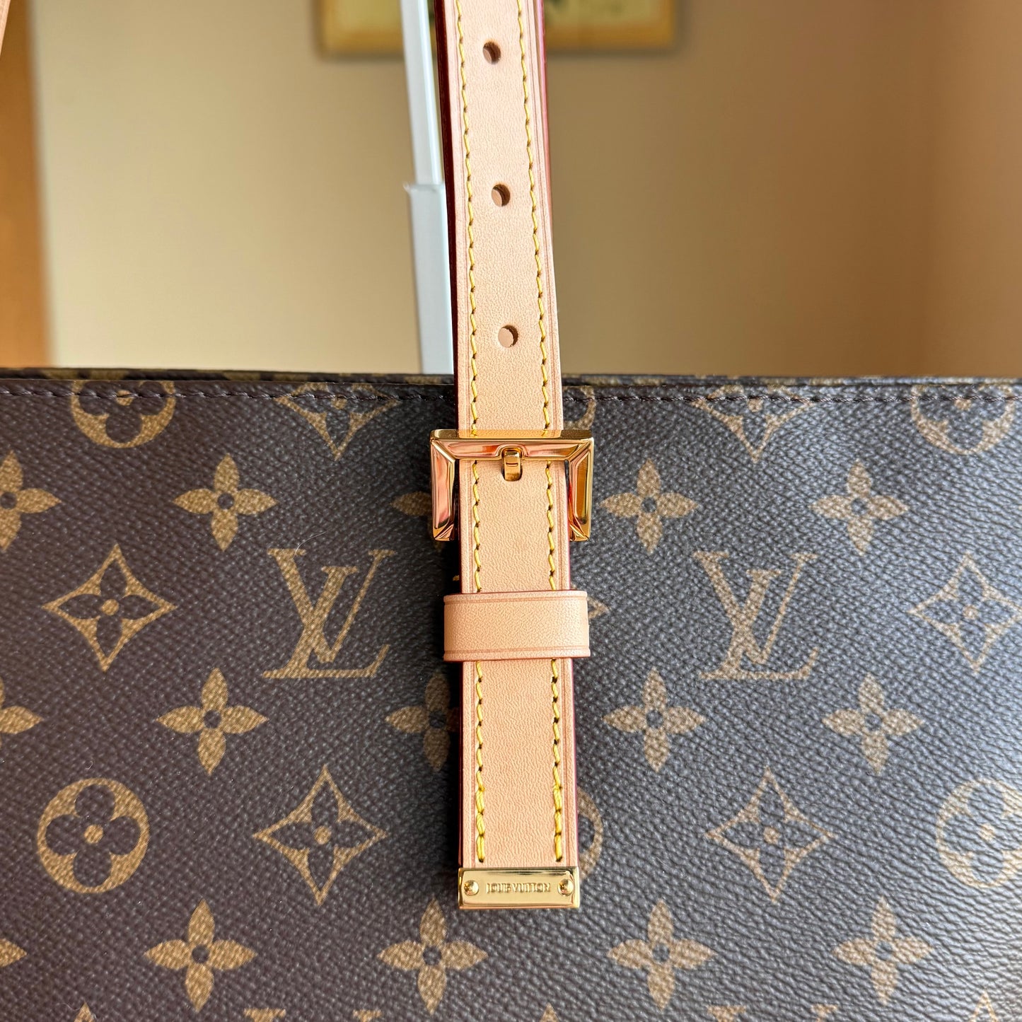 Monogram Cabas Mezzo (New Version)