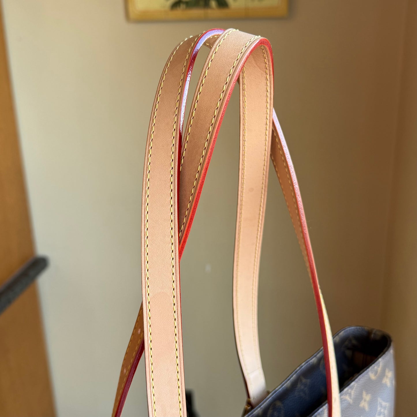 Monogram Cabas Mezzo (New Version)