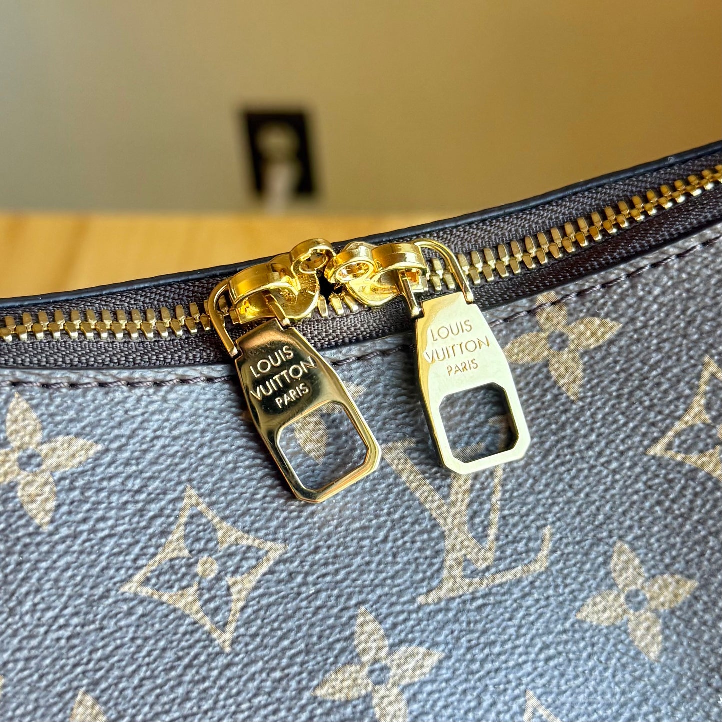 Monogram Slouchy MM