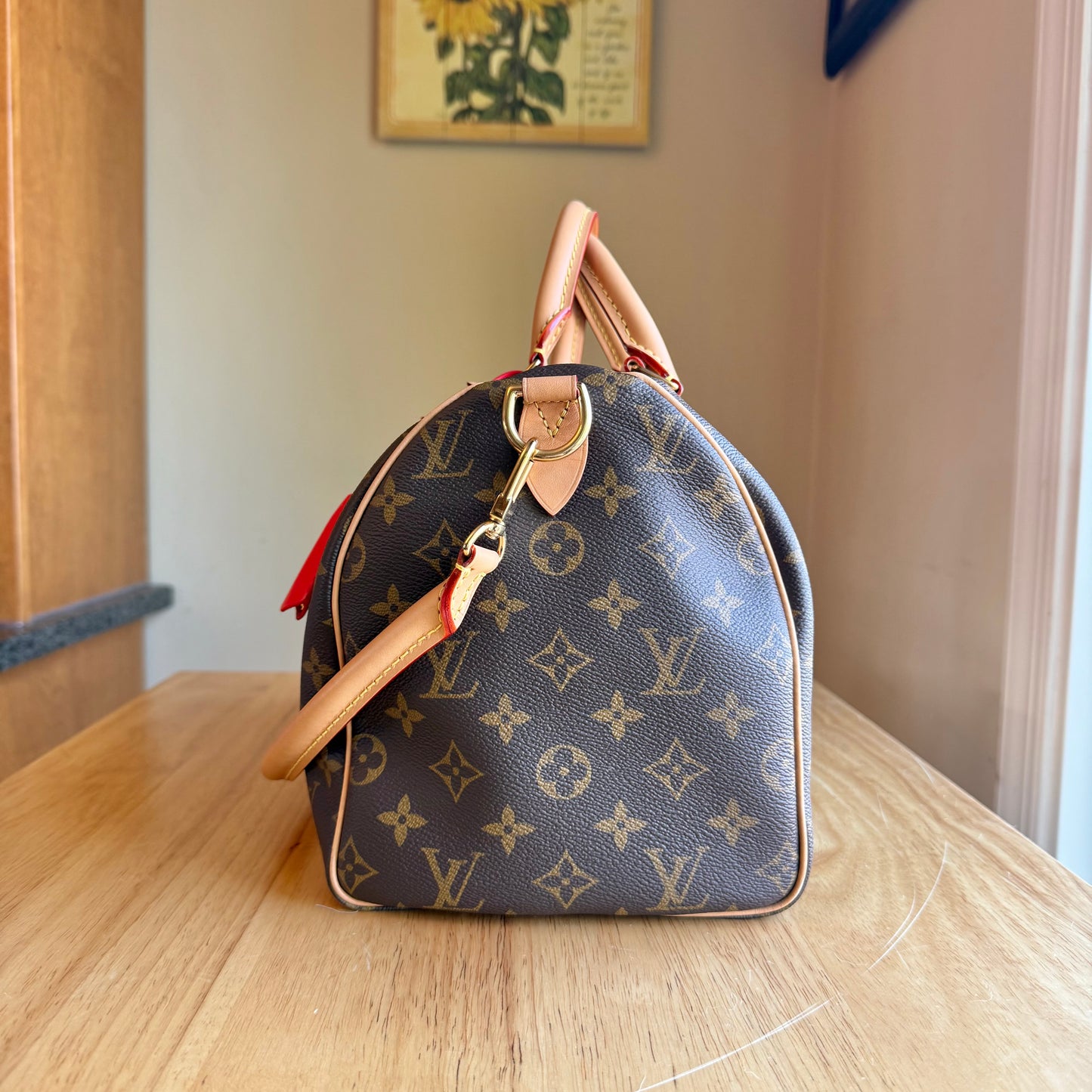 Monogram Speedy Soft 30 Crafty