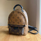 Reverse Monogram Palm Springs Mini