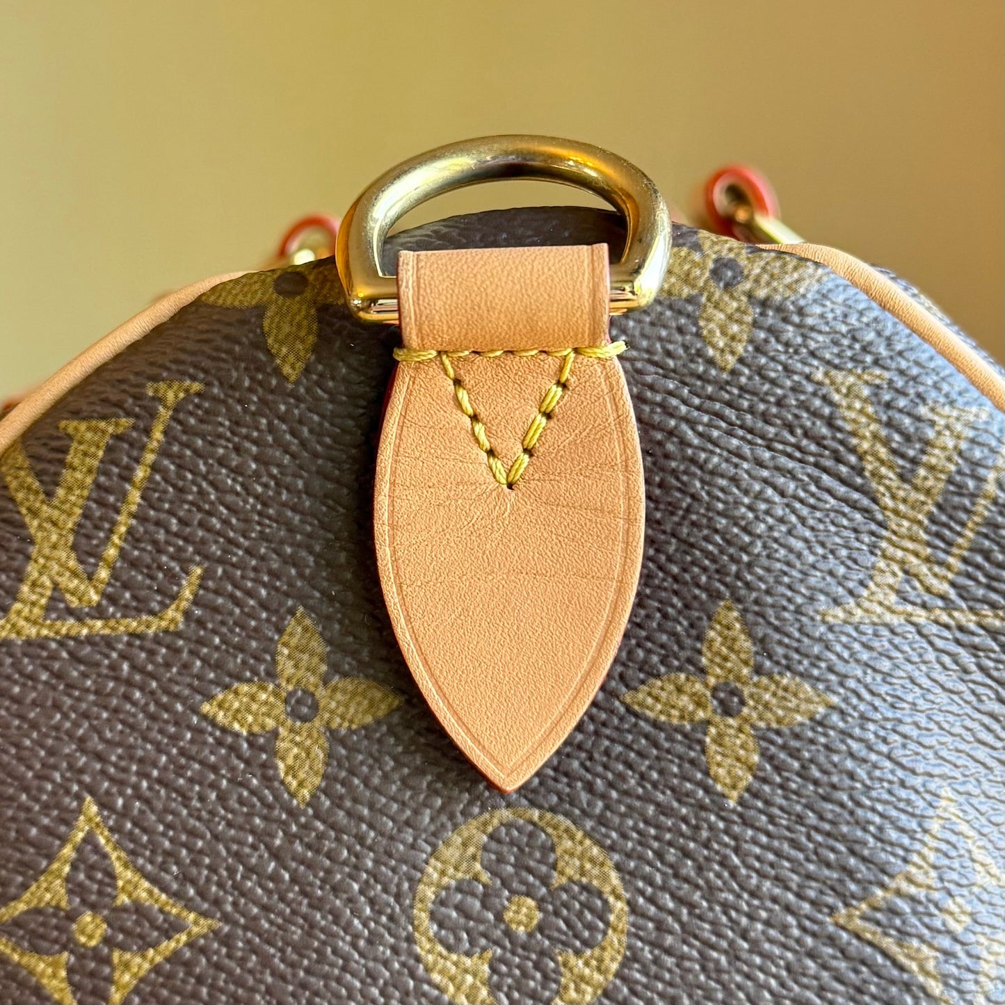 Monogram Speedy Soft 30 Crafty