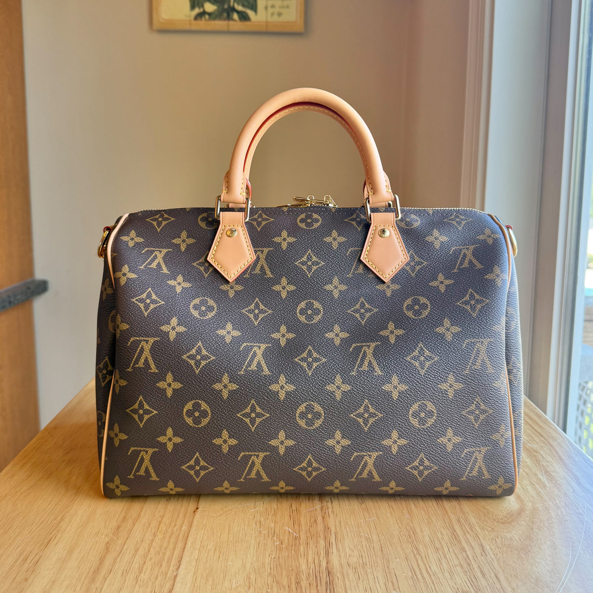Monogram Speedy Soft 30 Crafty