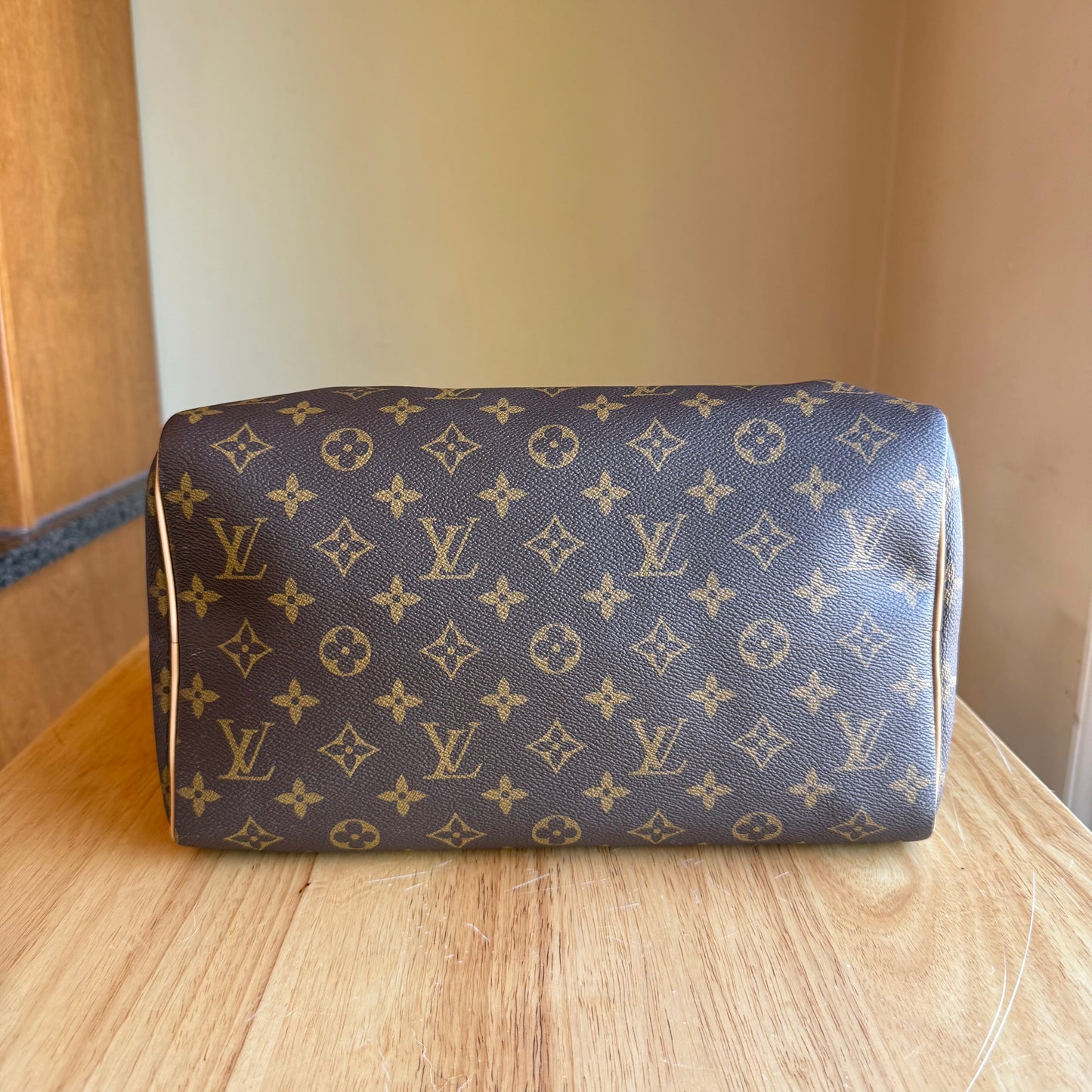 Monogram Speedy Soft 30 Crafty