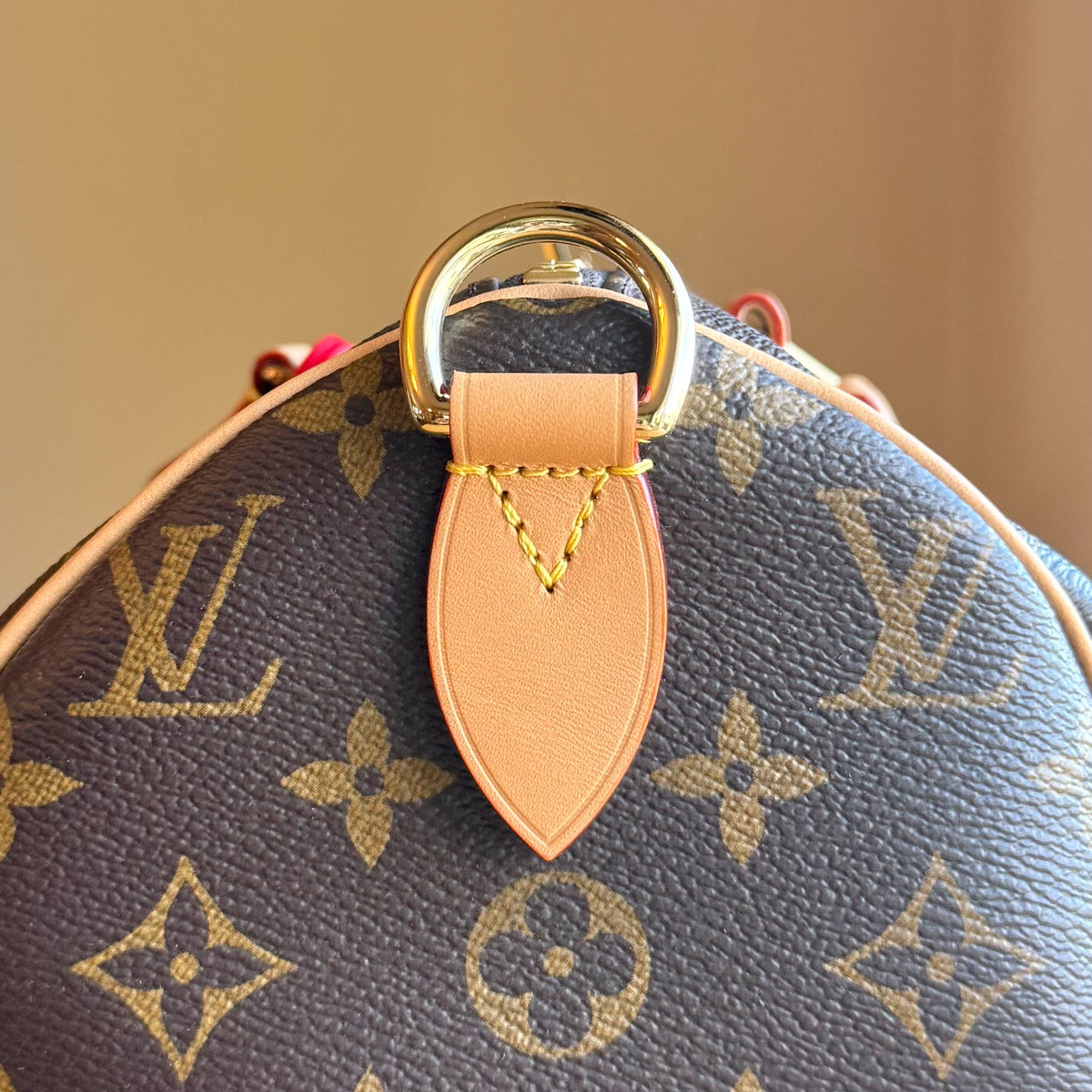 Monogram Speedy Soft 30 Crafty