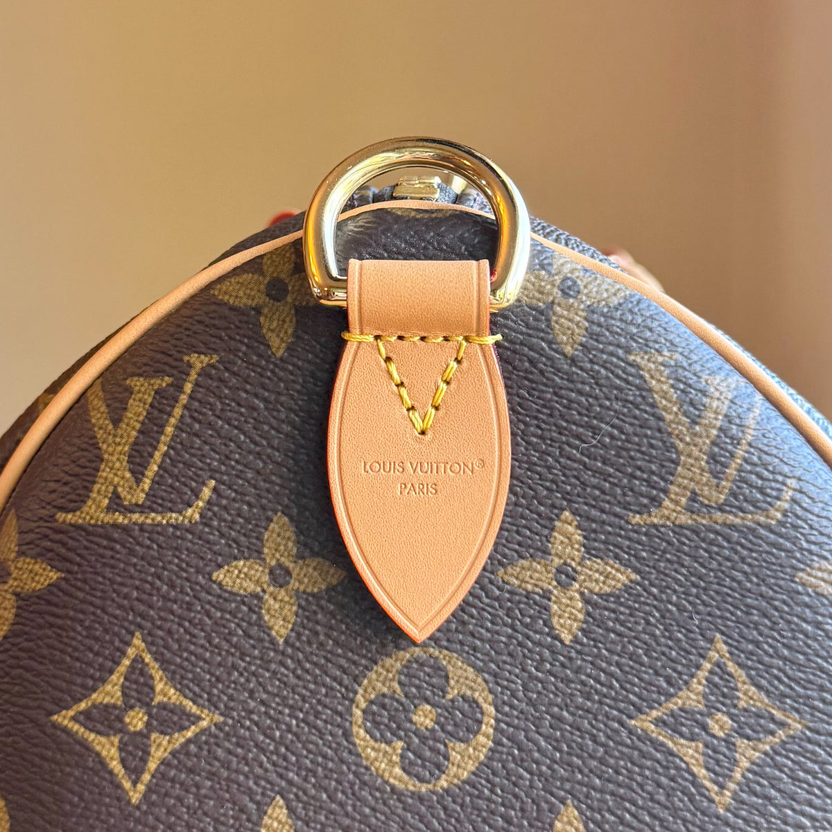 Monogram Speedy Soft 30 Crafty