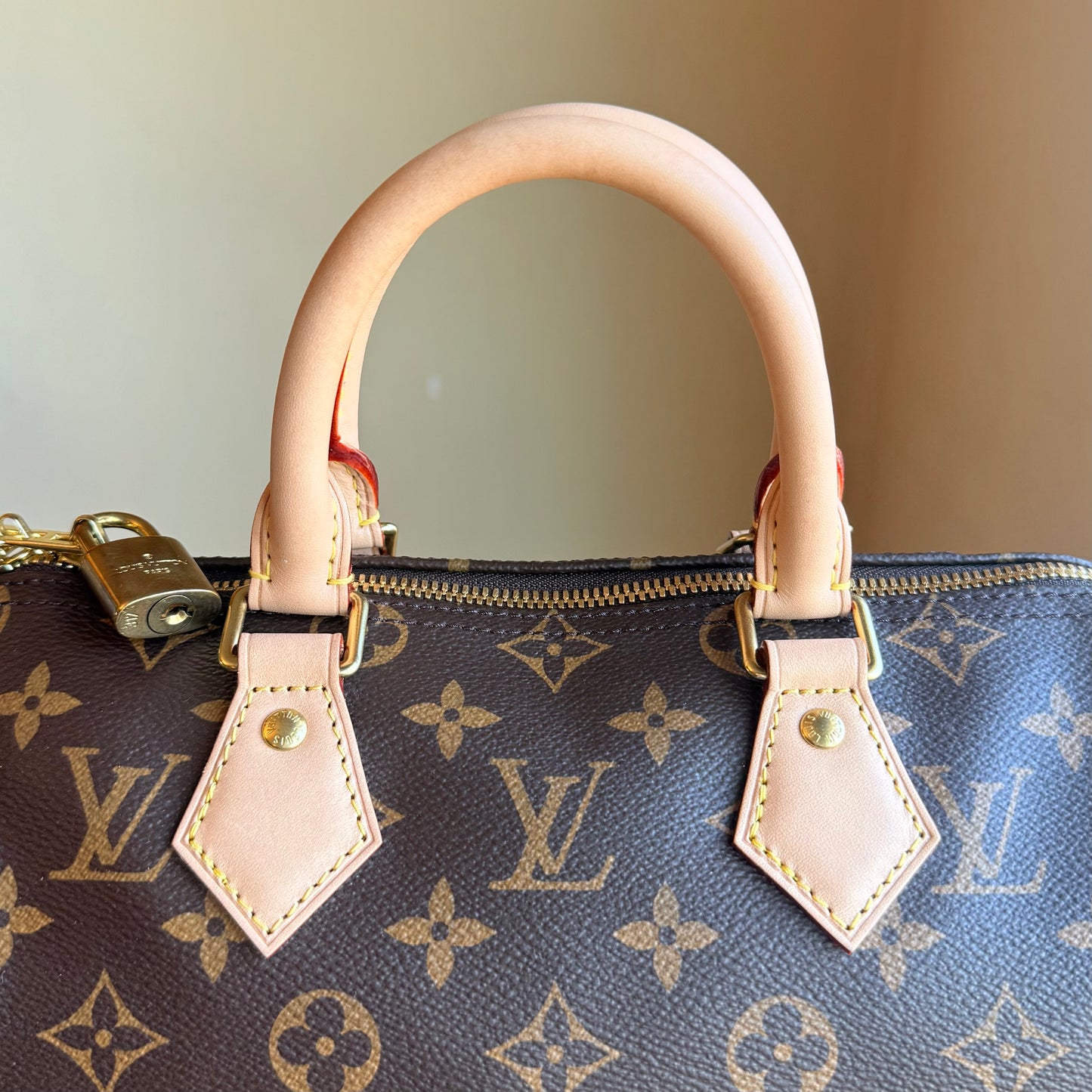 Monogram Speedy 25 Bandouliere