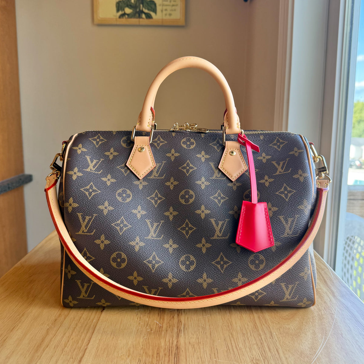 Monogram Speedy Soft 30 Crafty